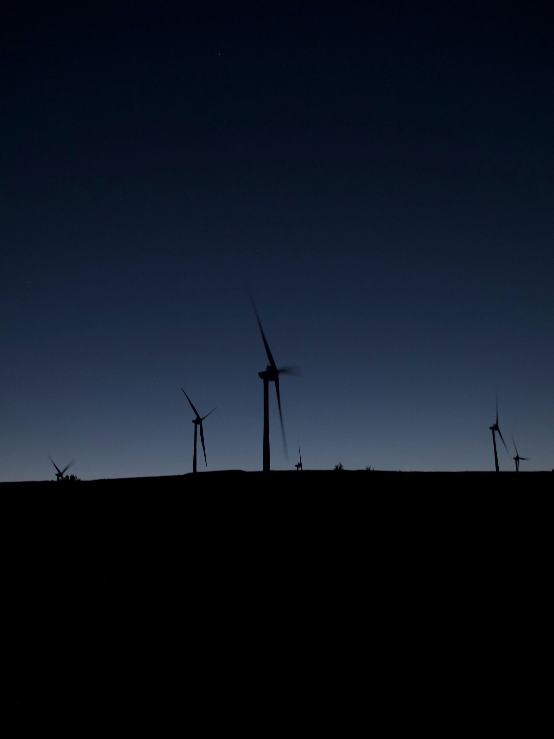 The Wee Windmills