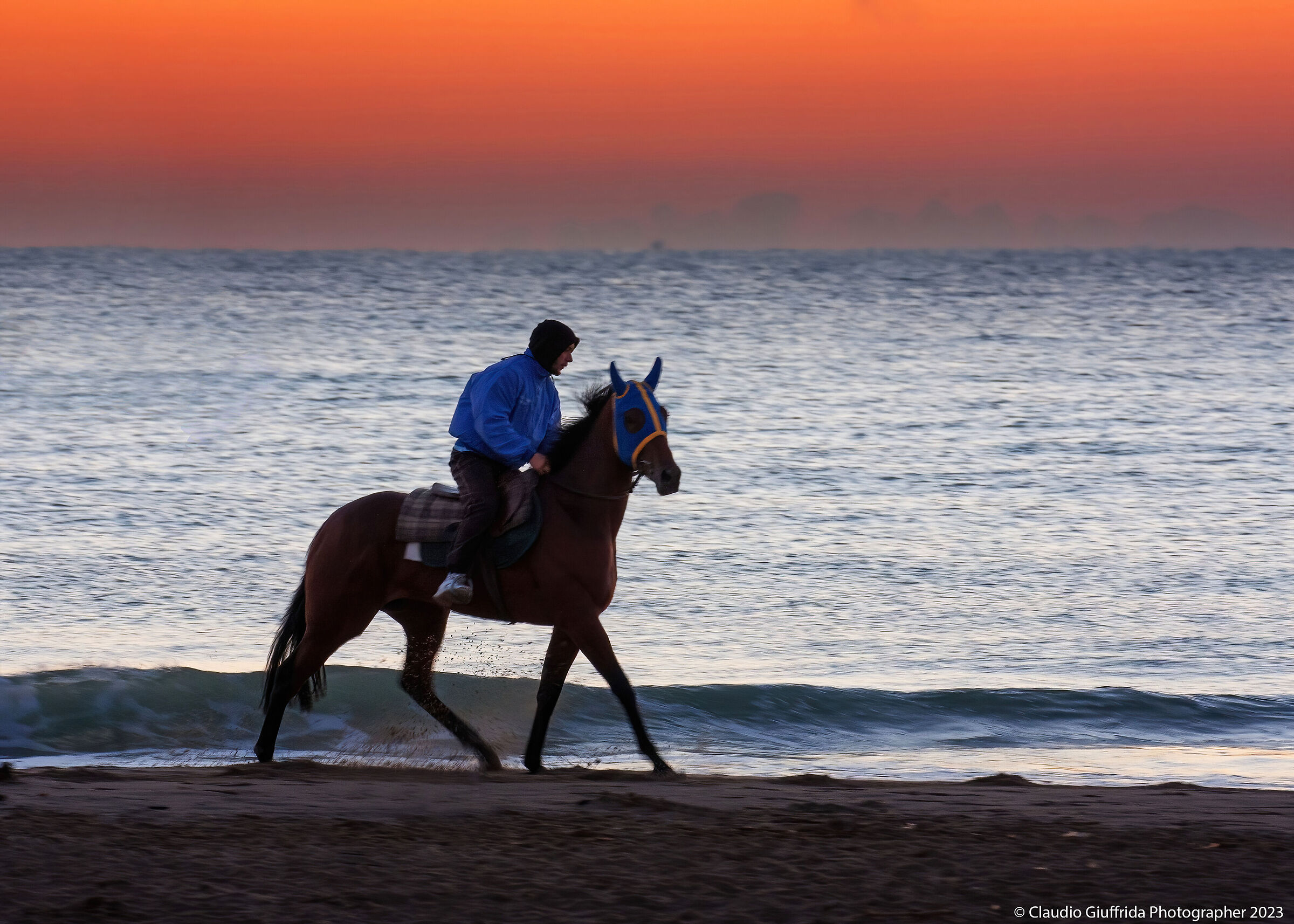 Galloping to the Playa