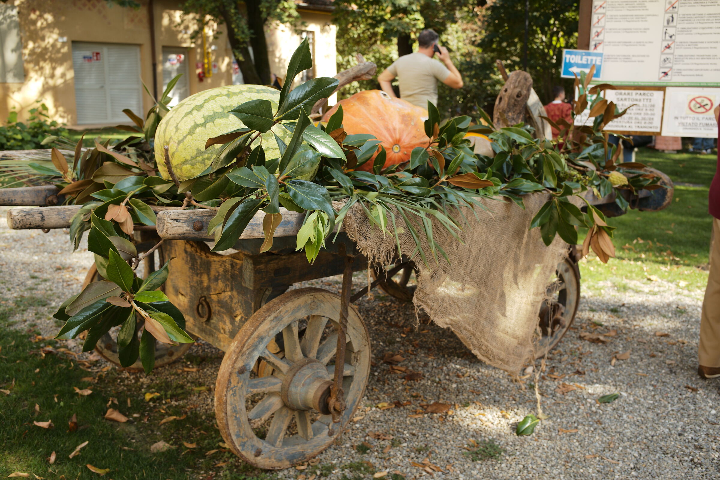 Pumpkin wagon