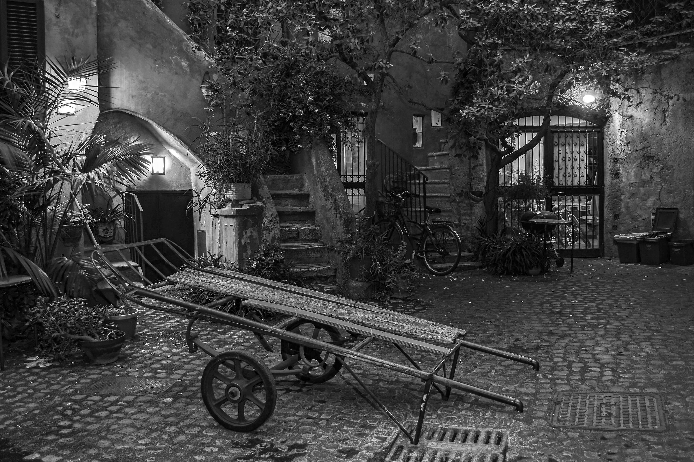 Yard...