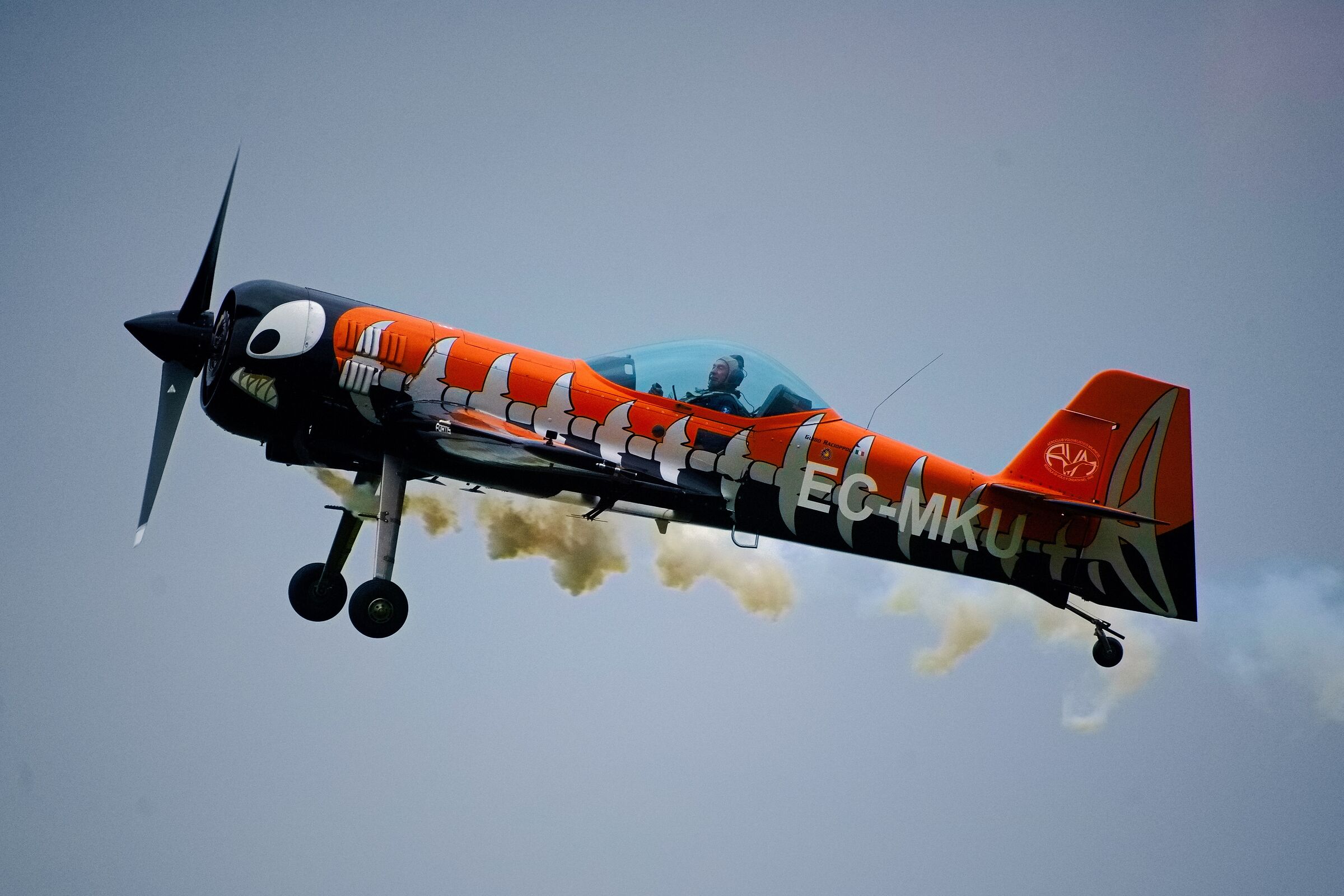 Air Show 2023 Un po di Fumo...