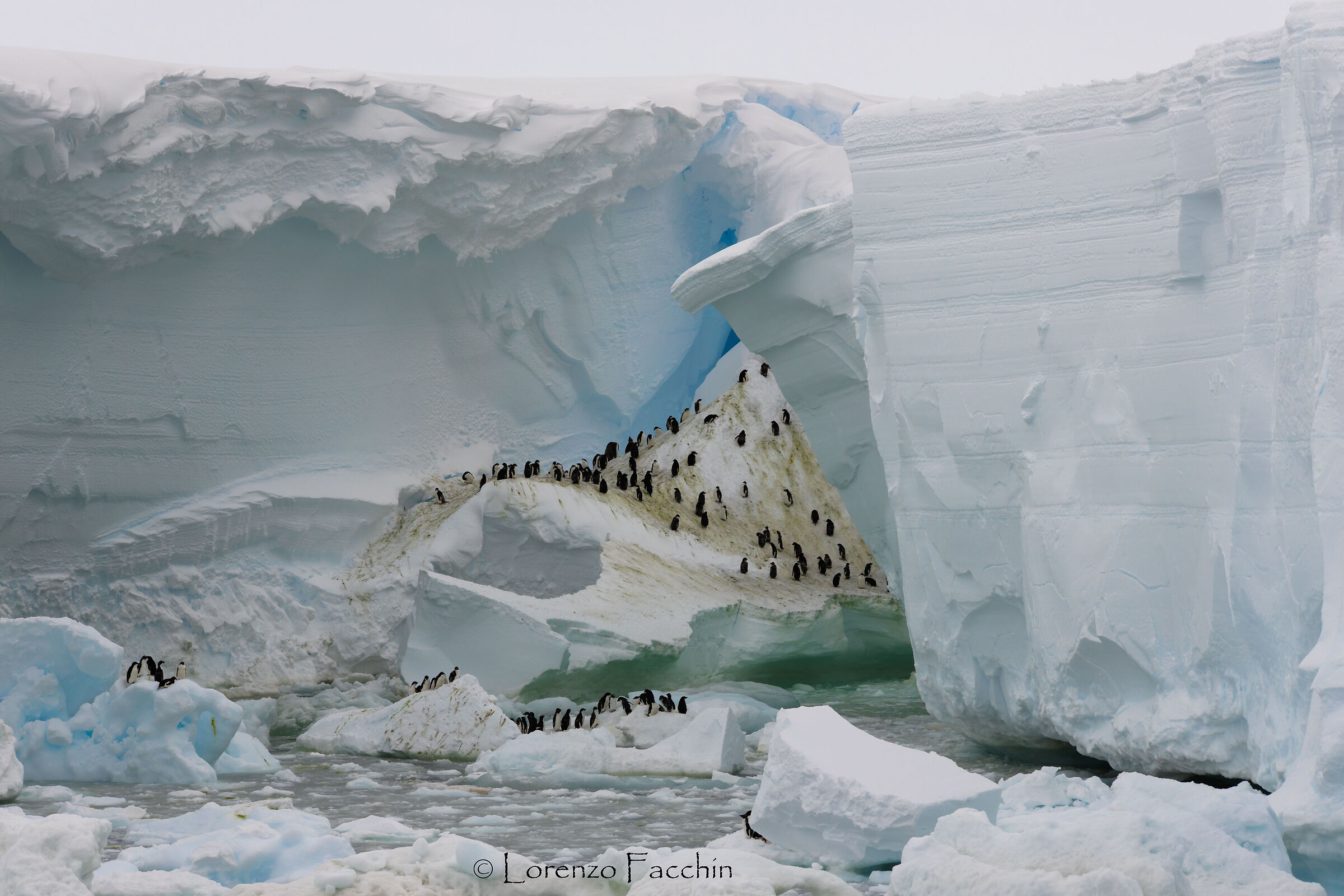 Whale Bay - Record Day