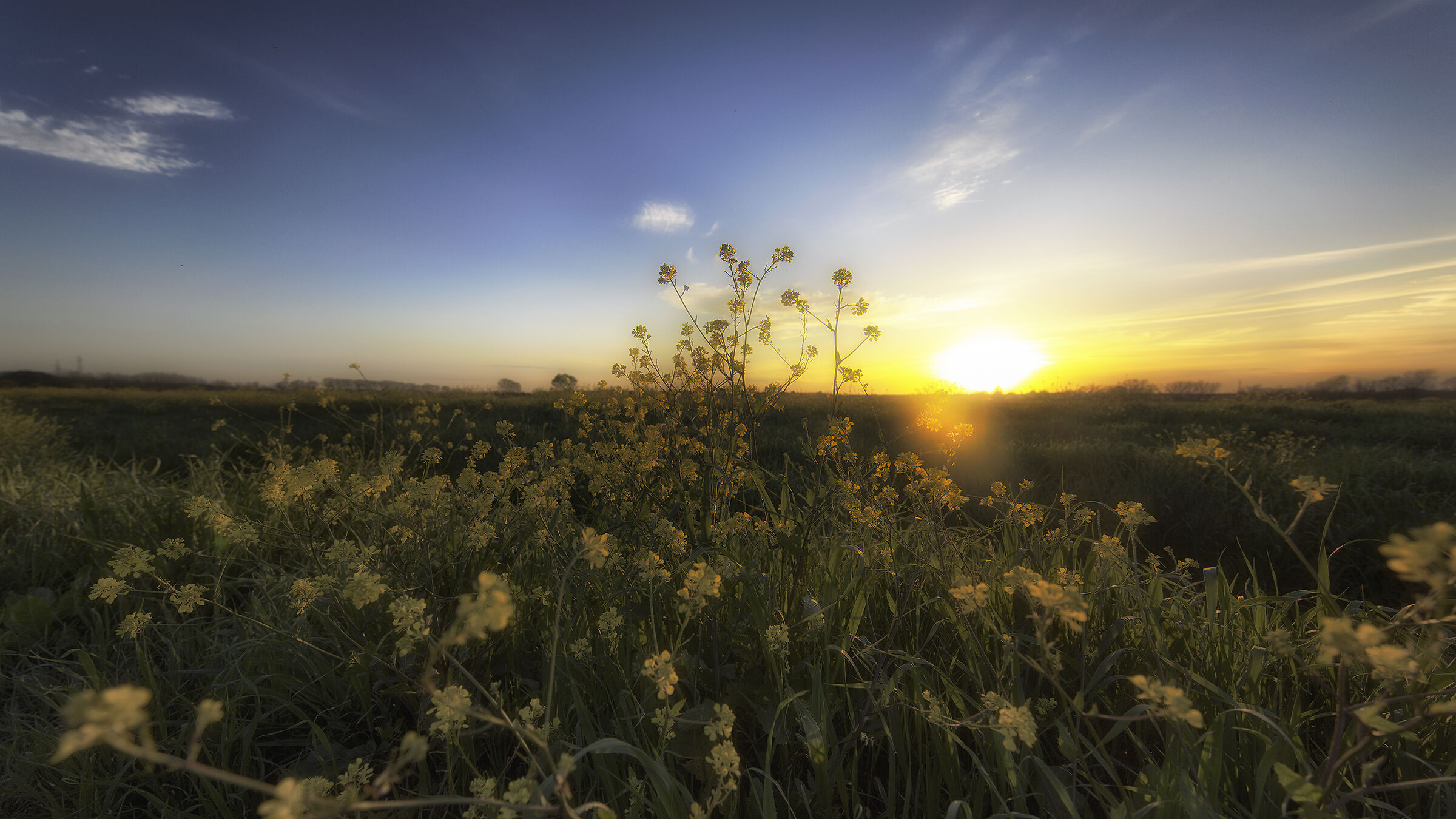 around the countryside of my parts