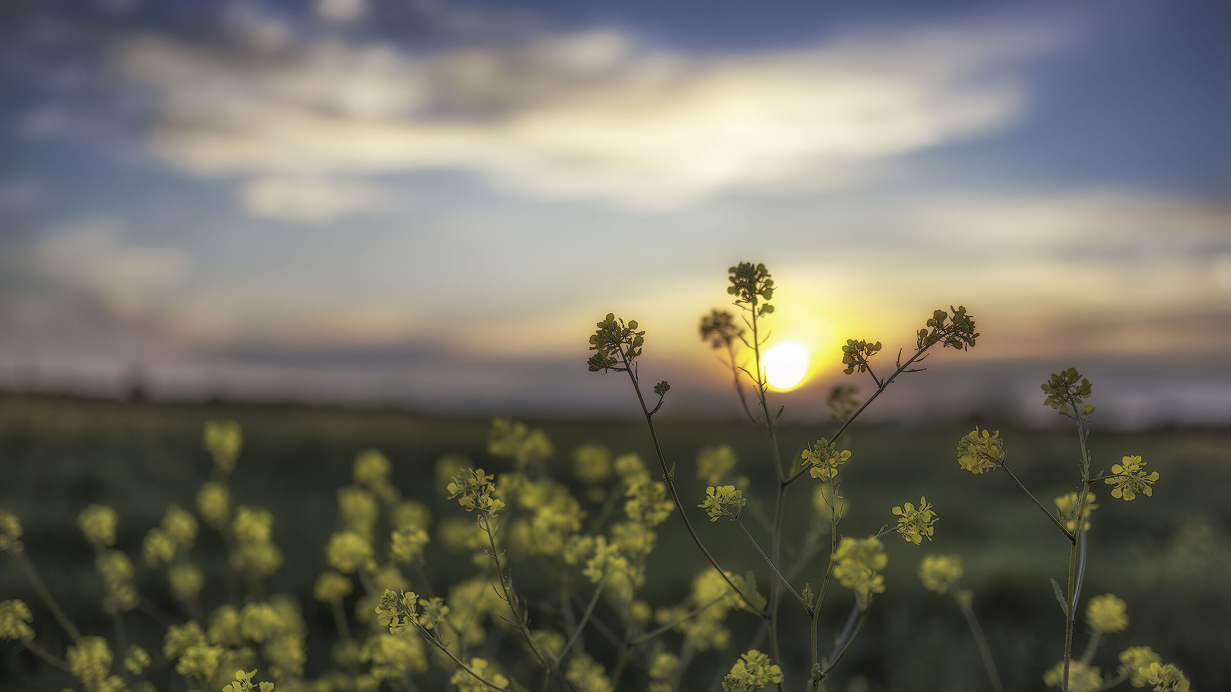 playing with the diaphragm