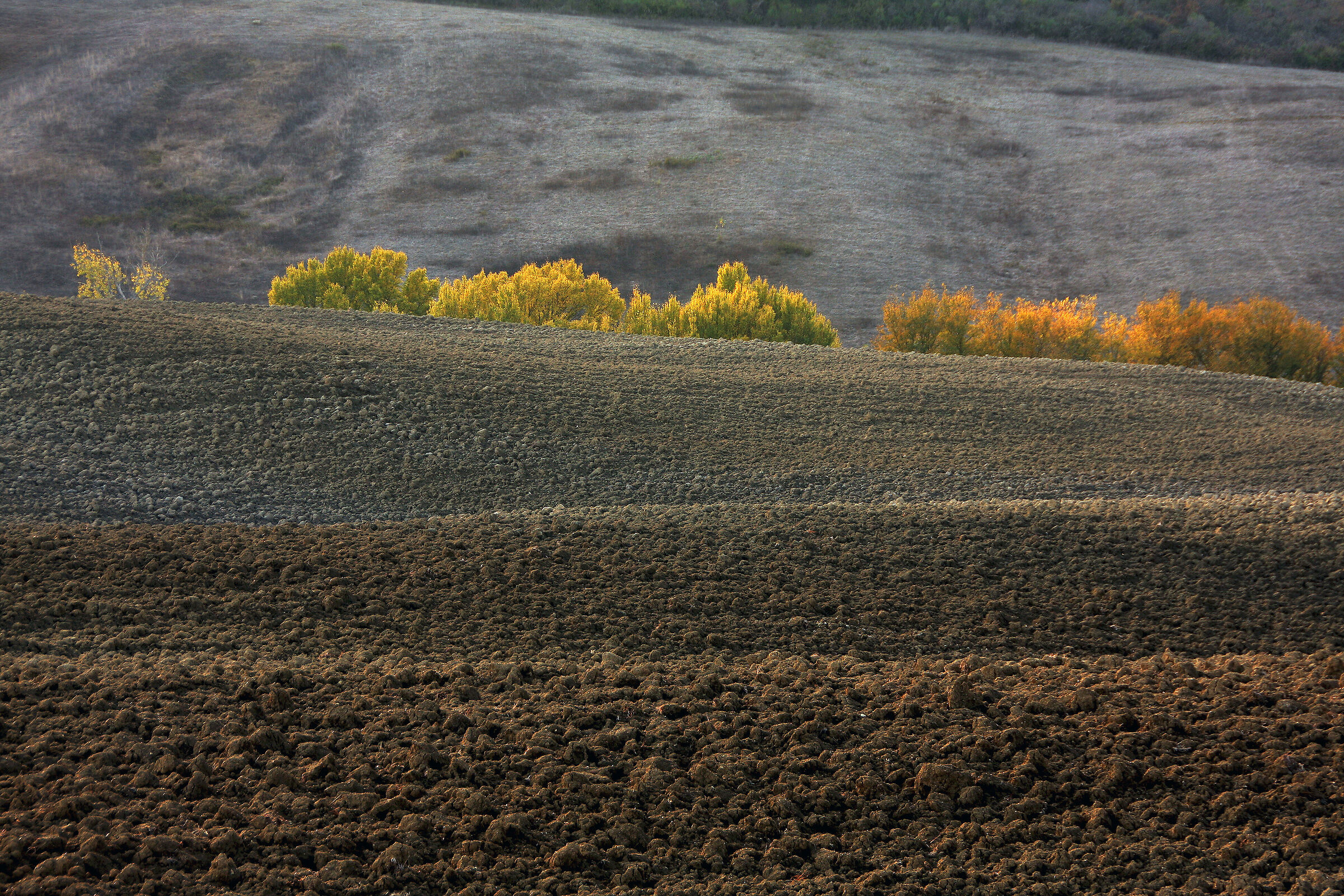 Tuscany soil