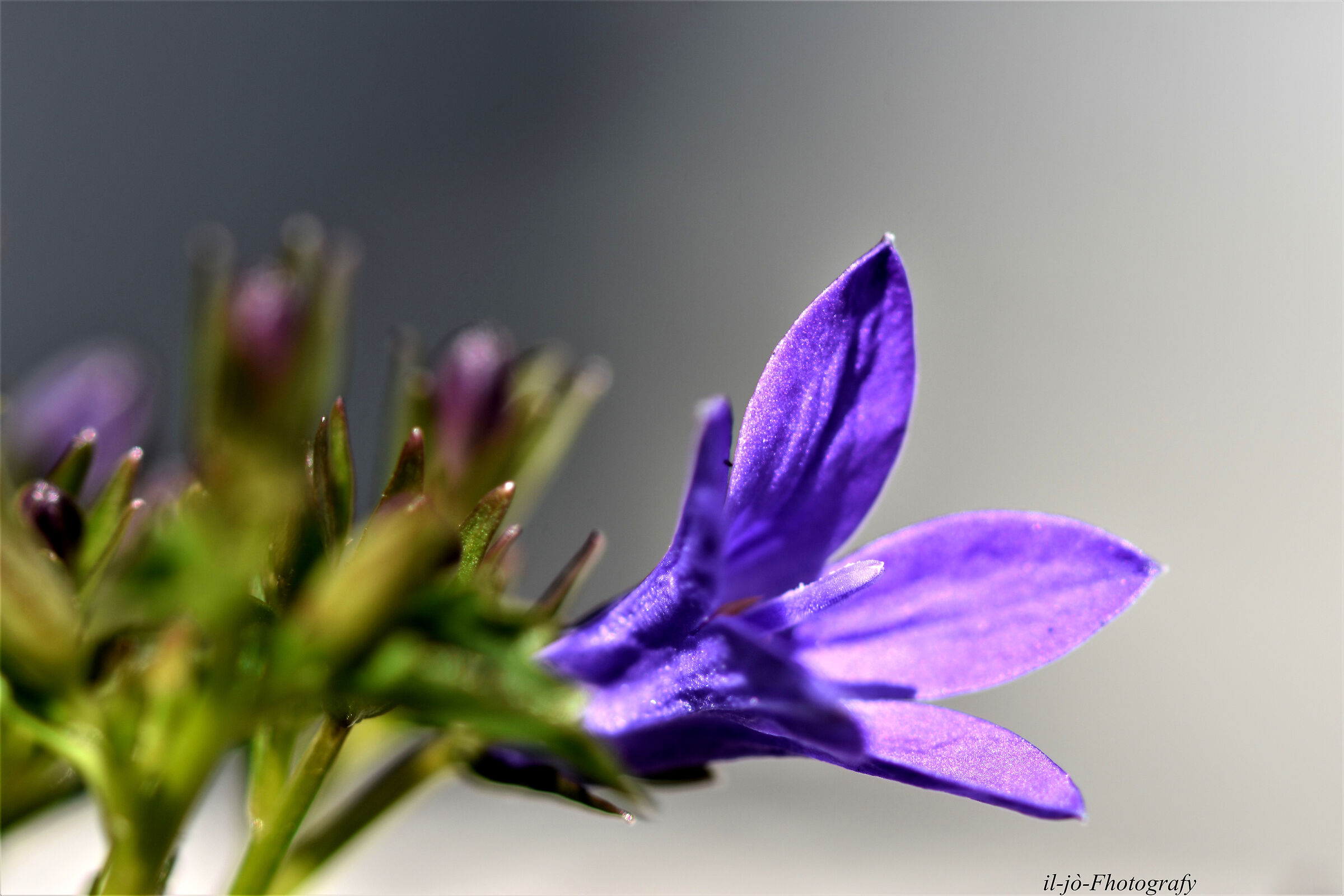 Untitled Photo