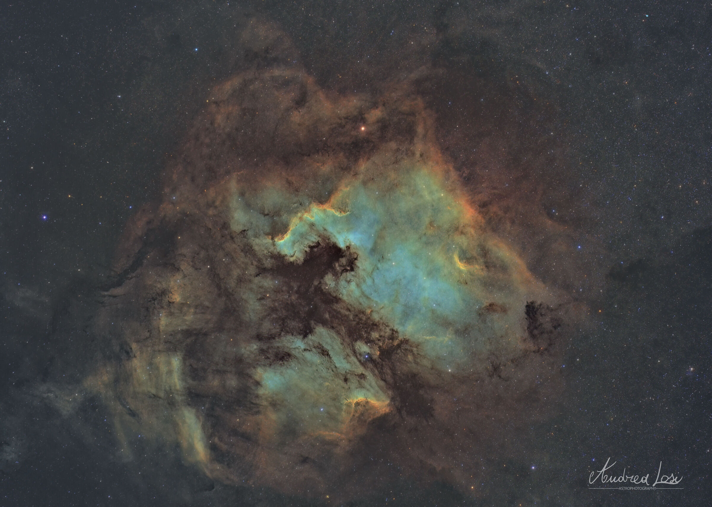 NORTH AMERICA NEBULAE AND PELICAN