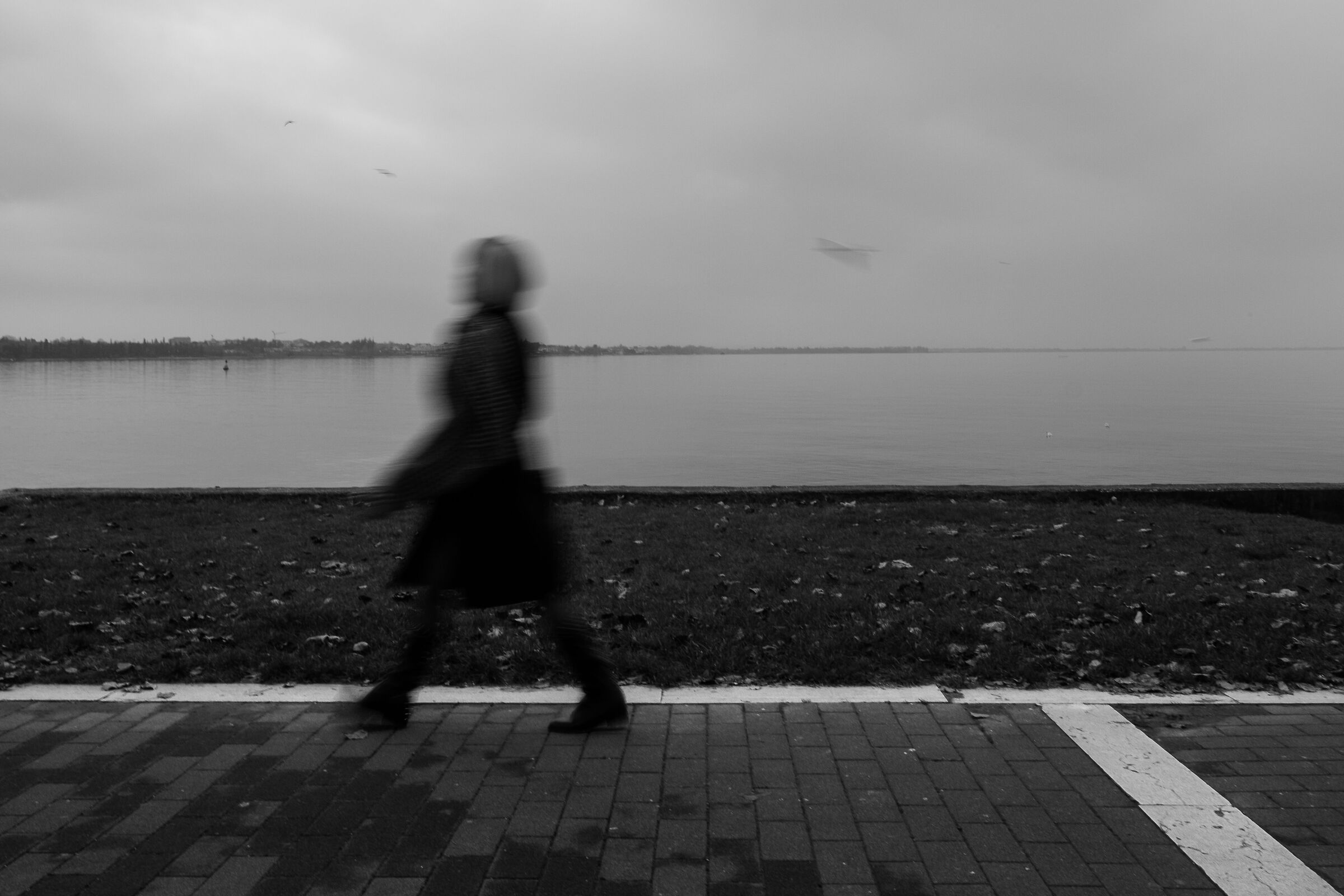 That autumn that is not there