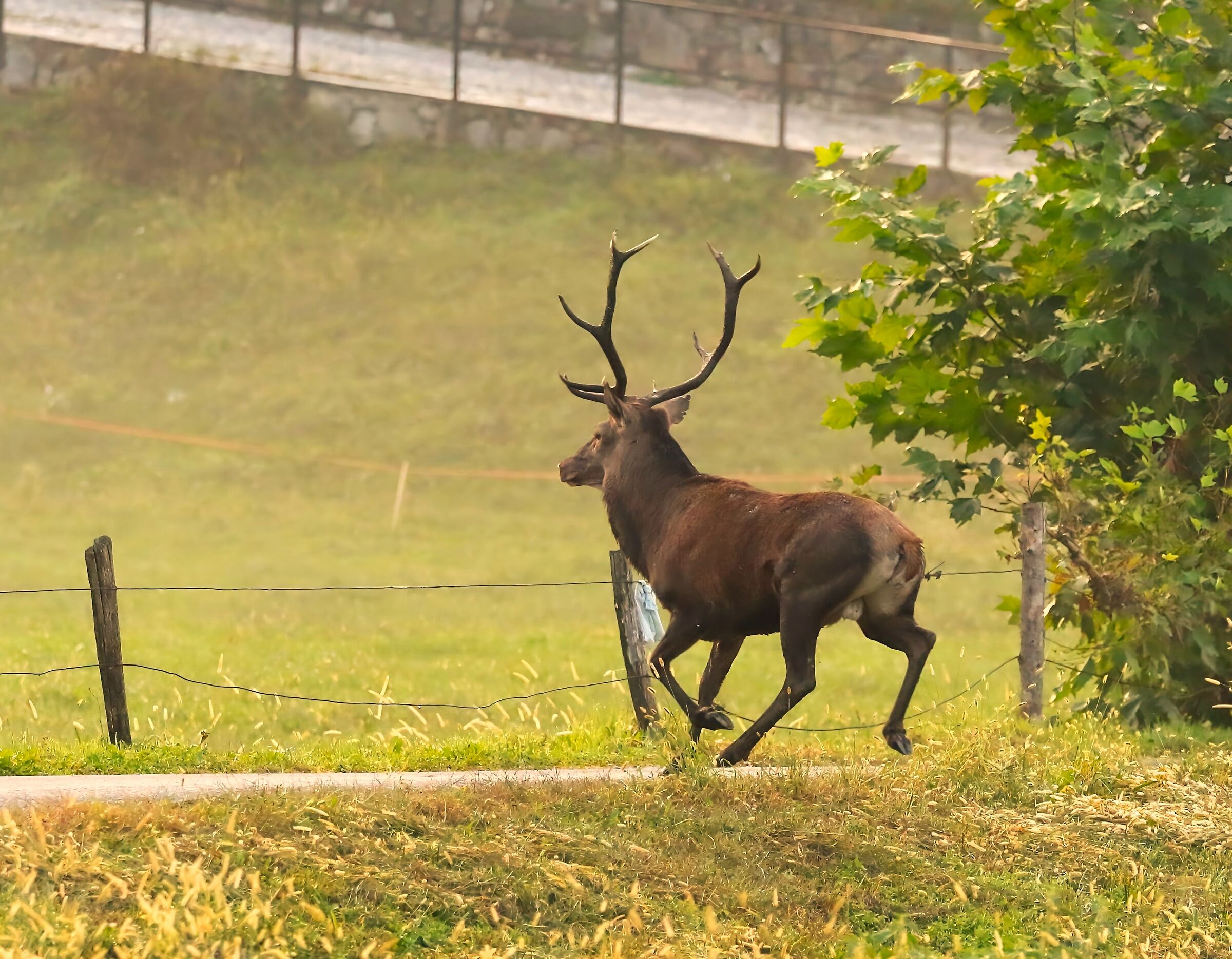 Pronto per il salto