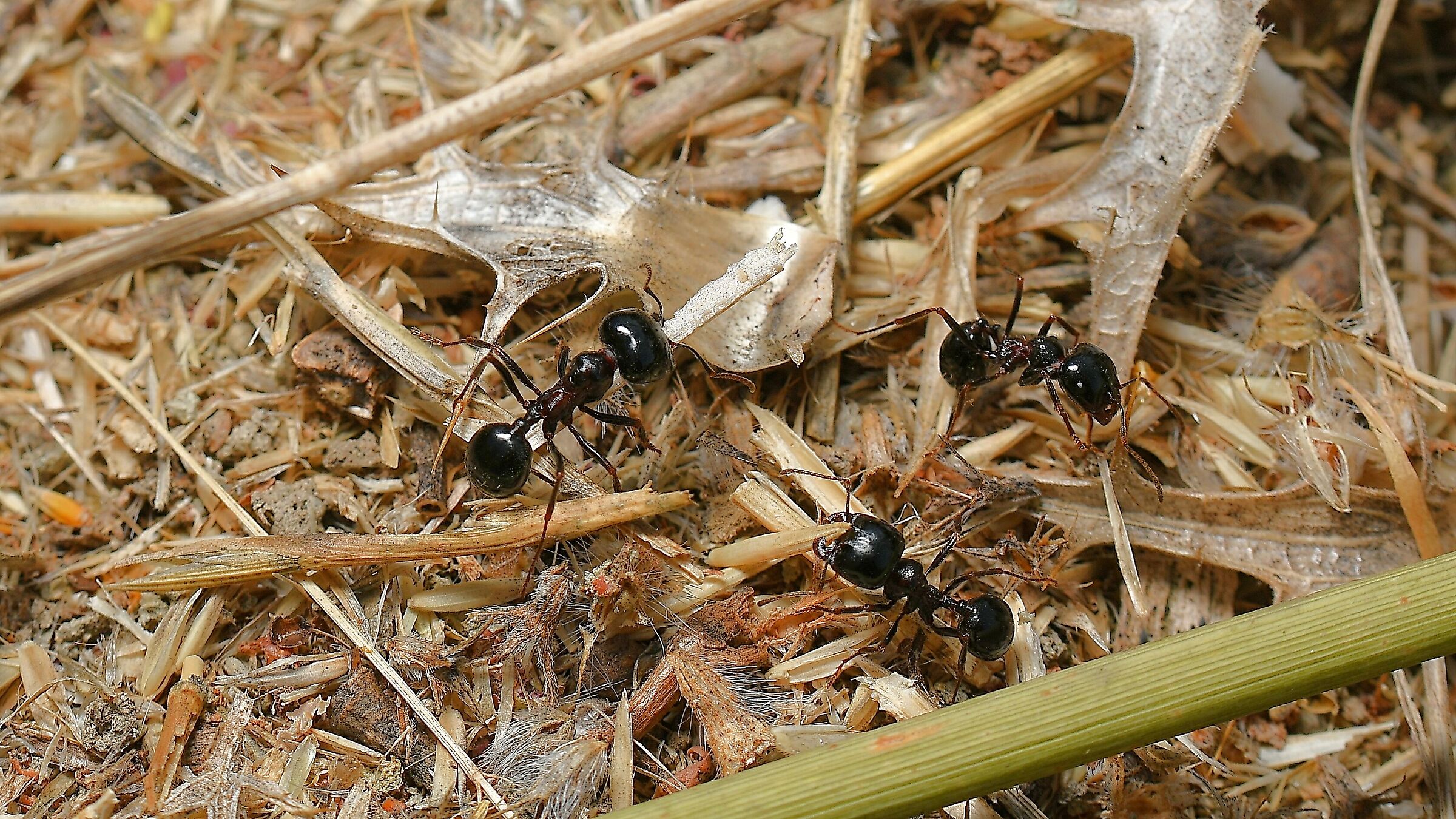 insieme si può fare di più