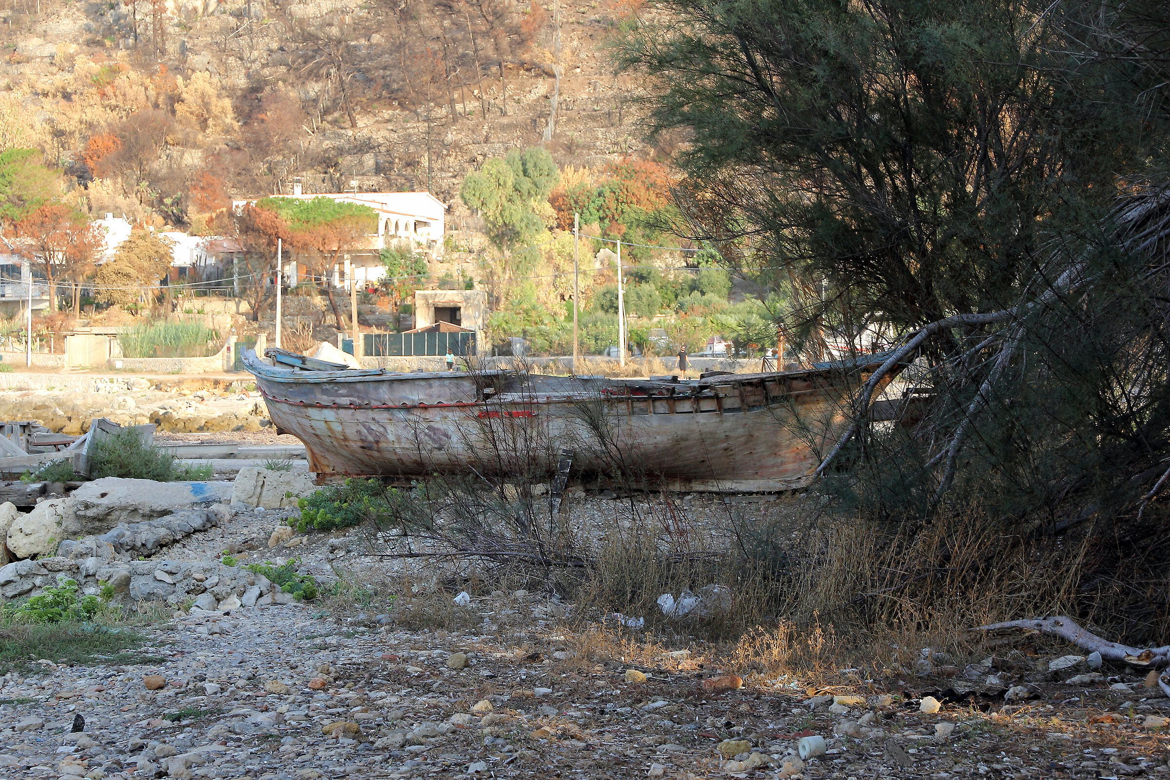 Boats