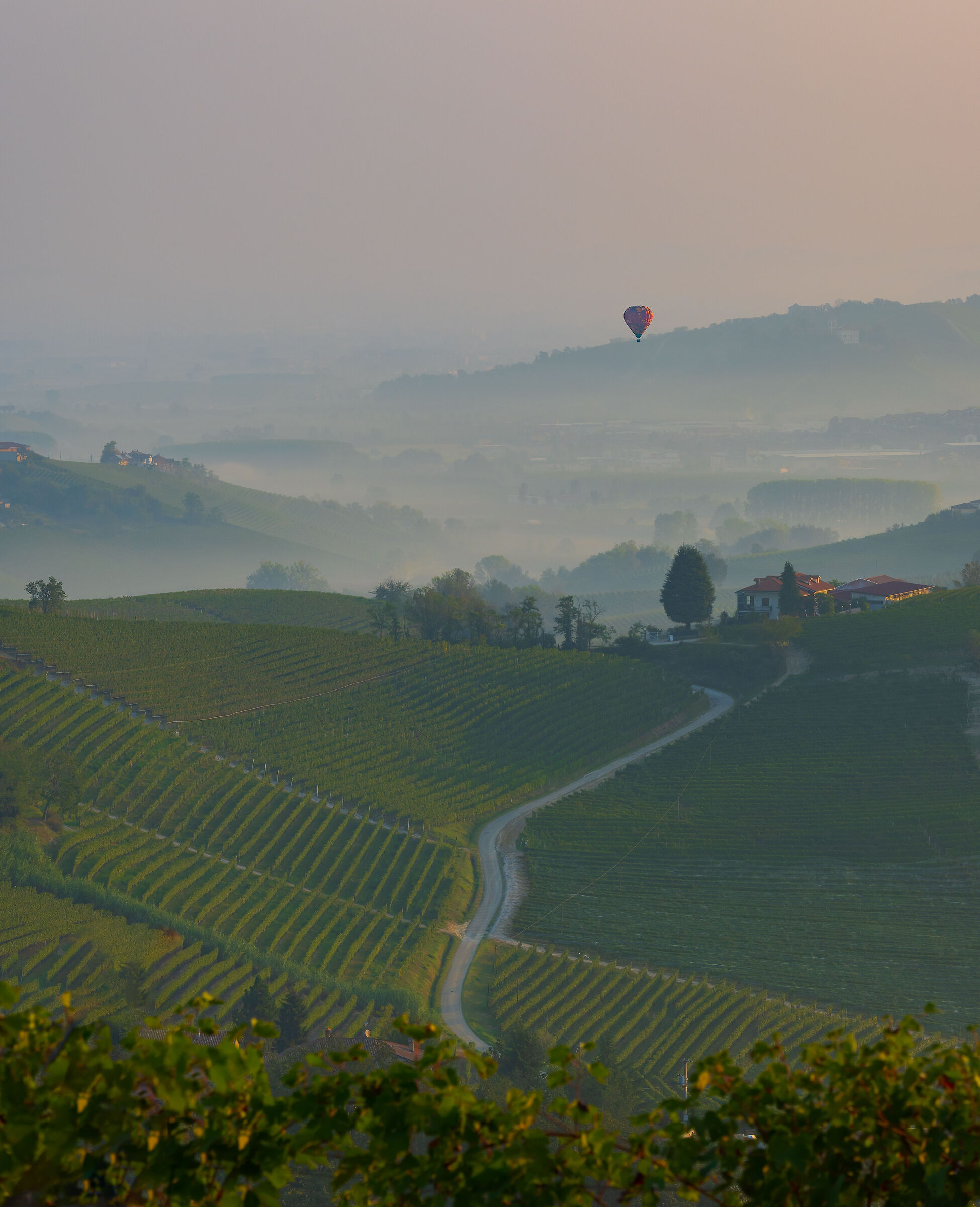Alba al sentiero del Barolo - La Morra
