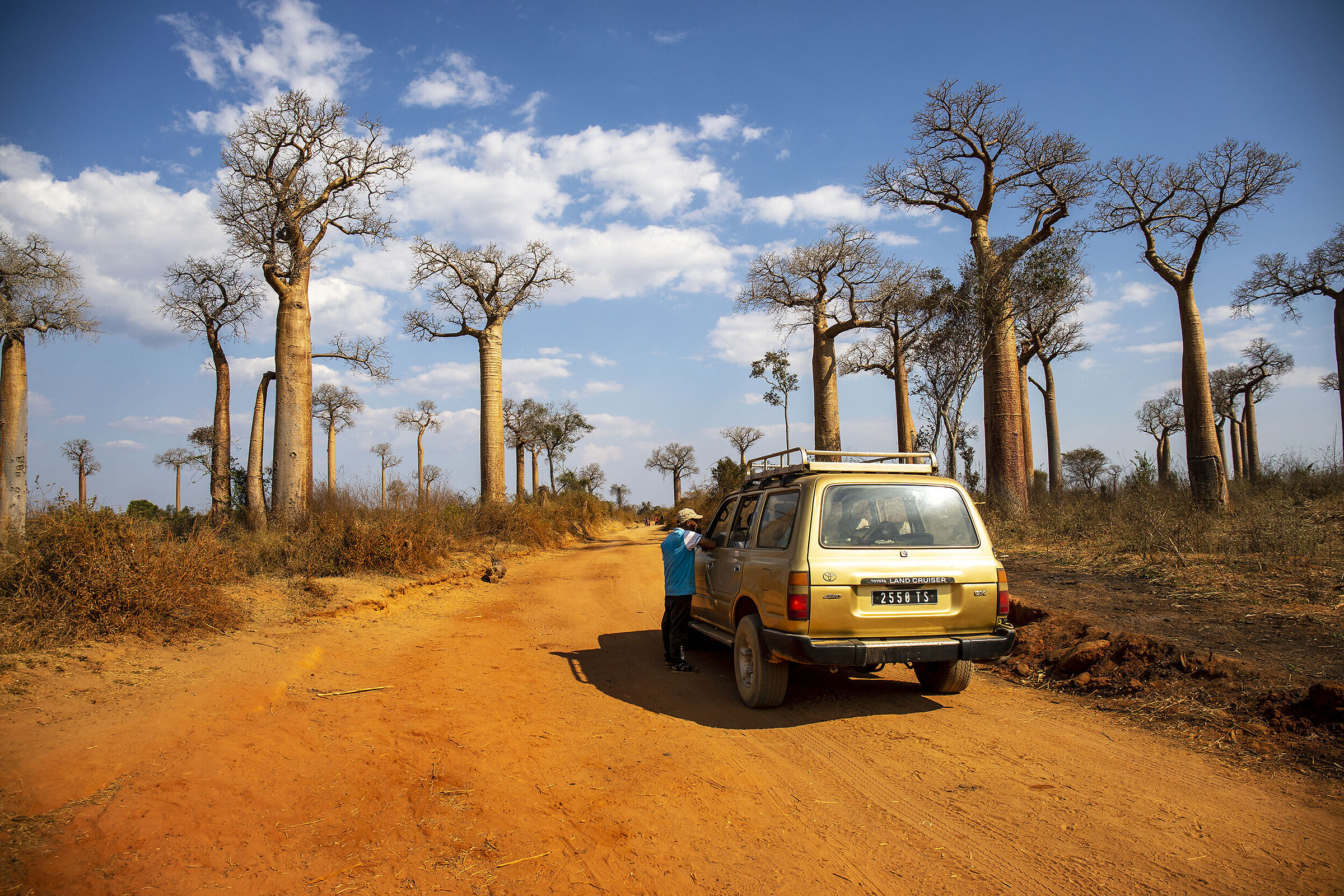 persi in mezzo ai baobab