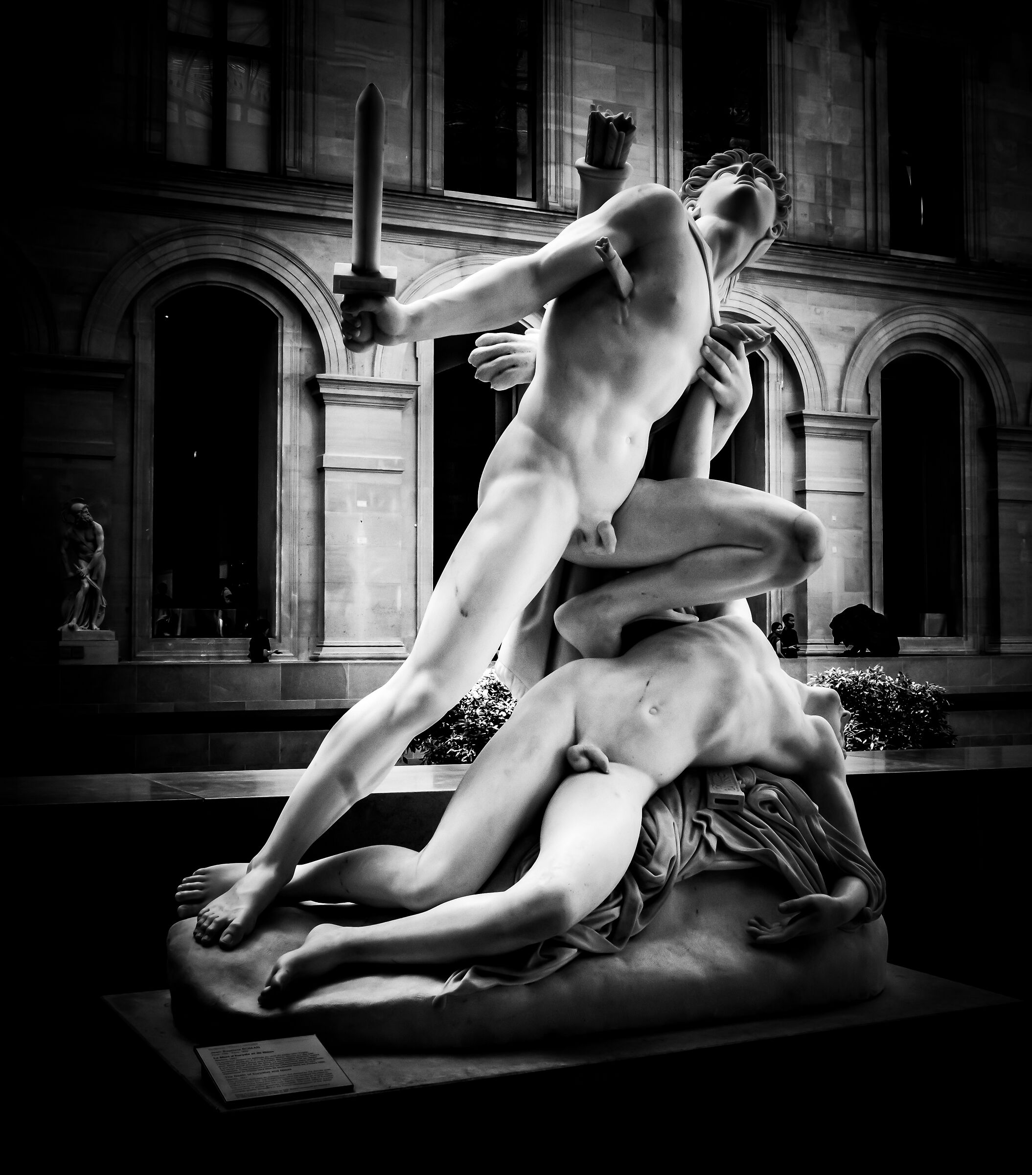Euryalus and Niso