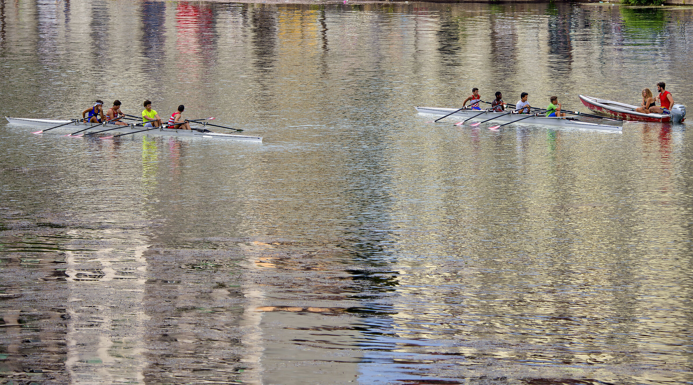 Grass rowers