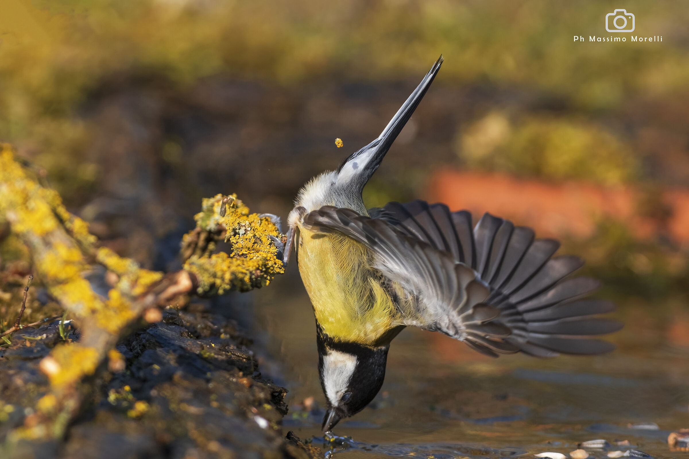 I almost don't coat....