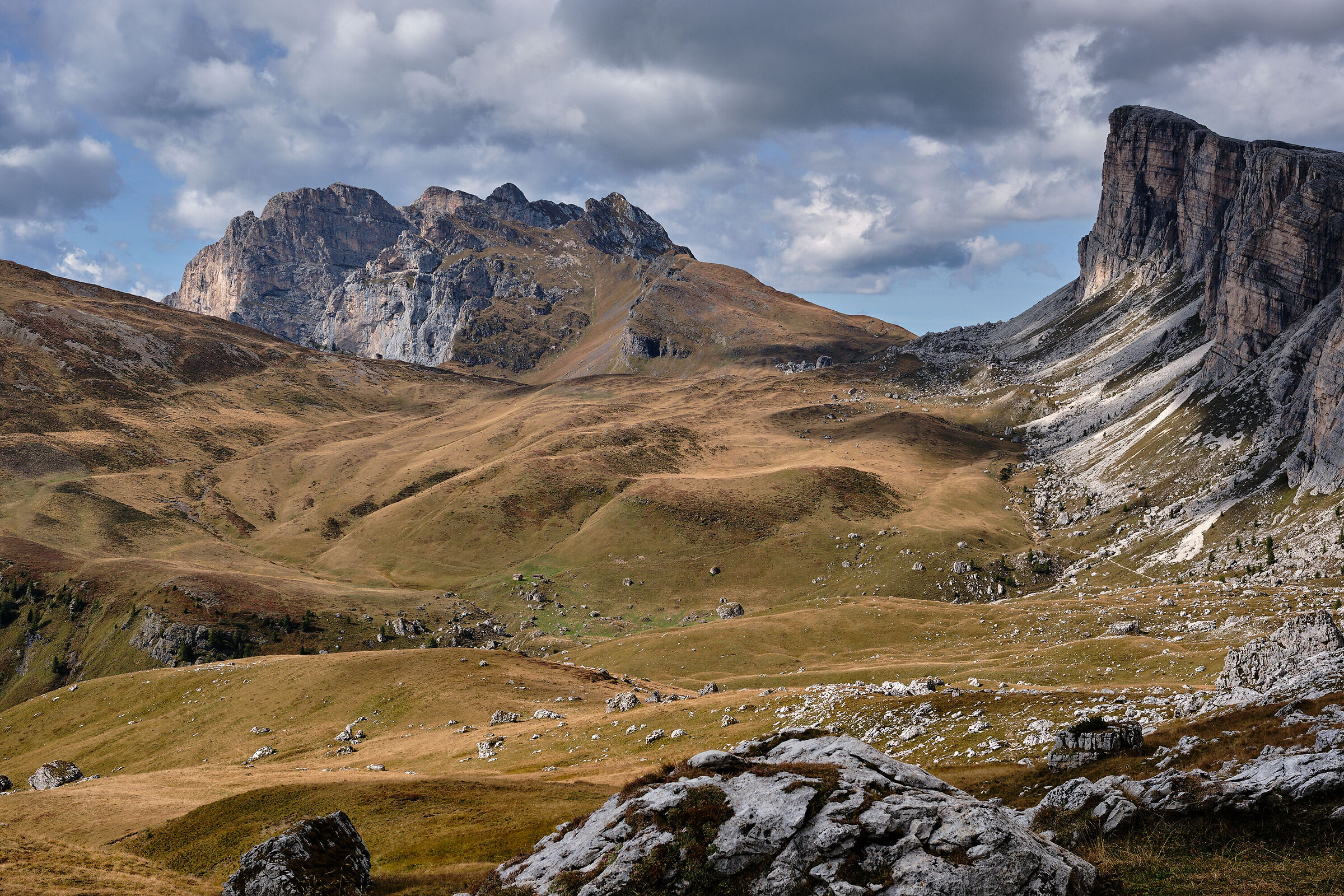 Paradise