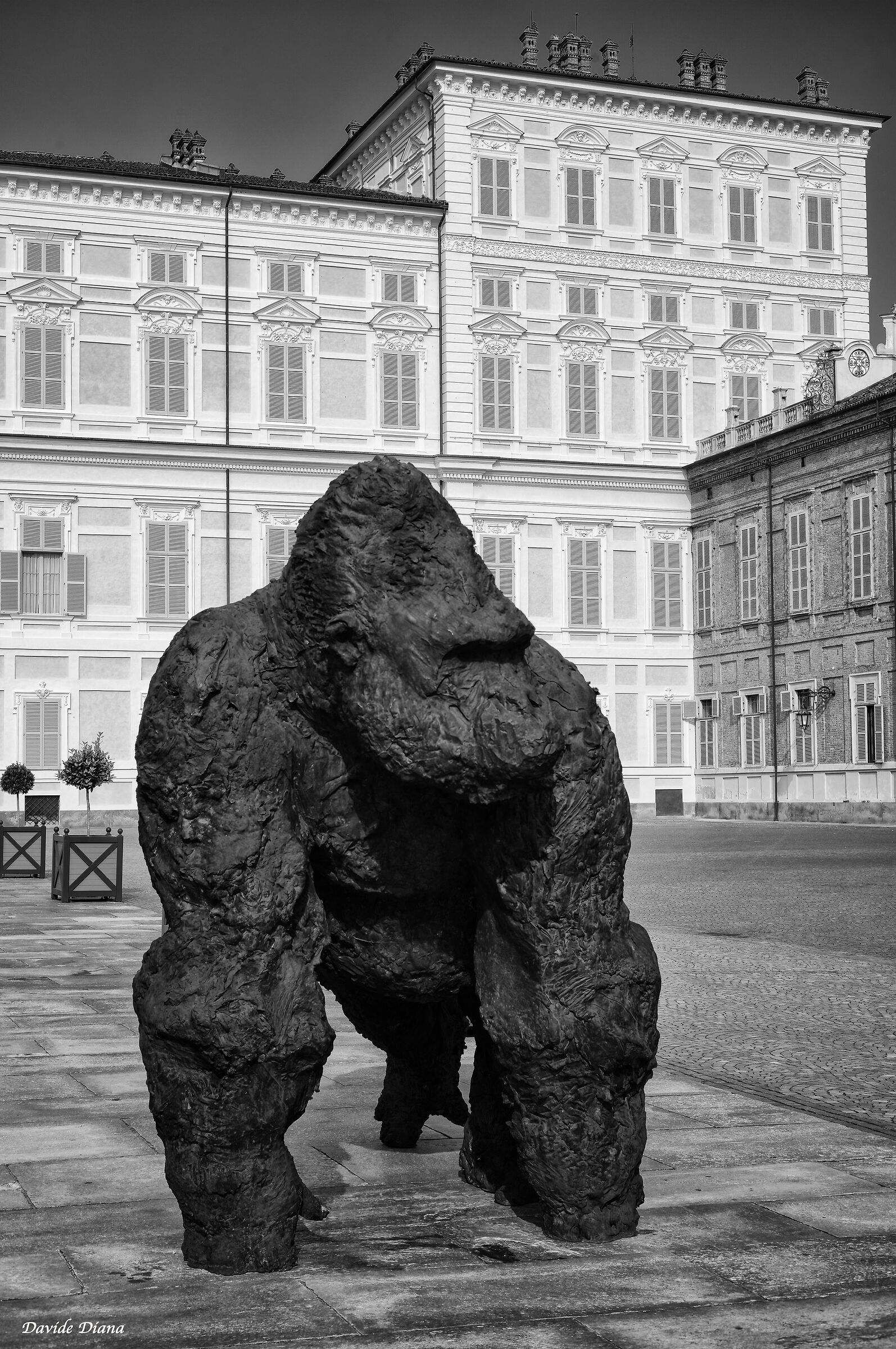 King Kong a Torino