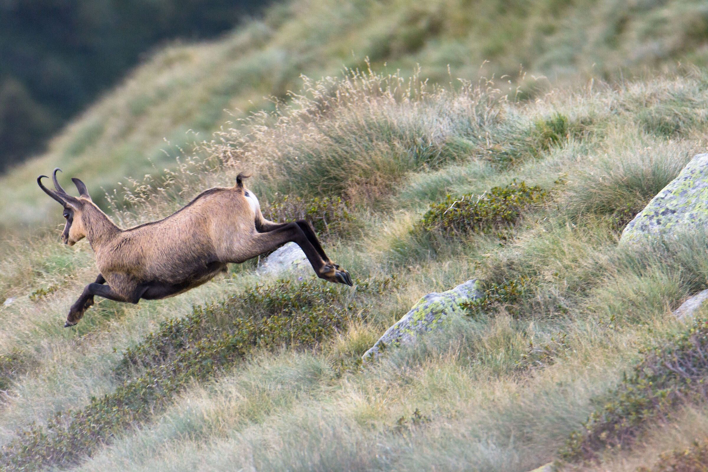 Whoops, I get out of the frame