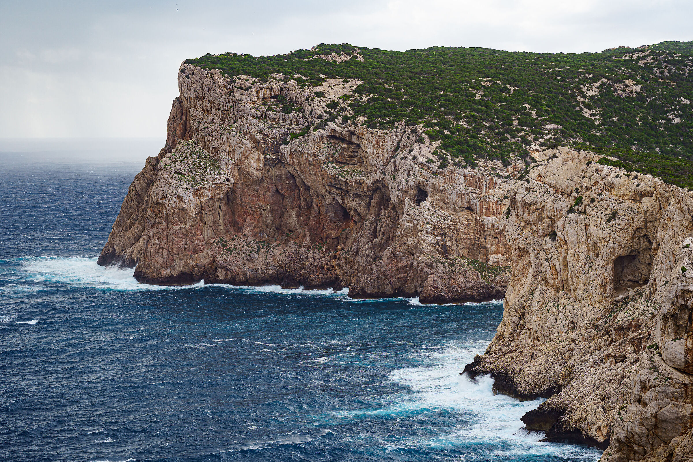 Cape Hunting