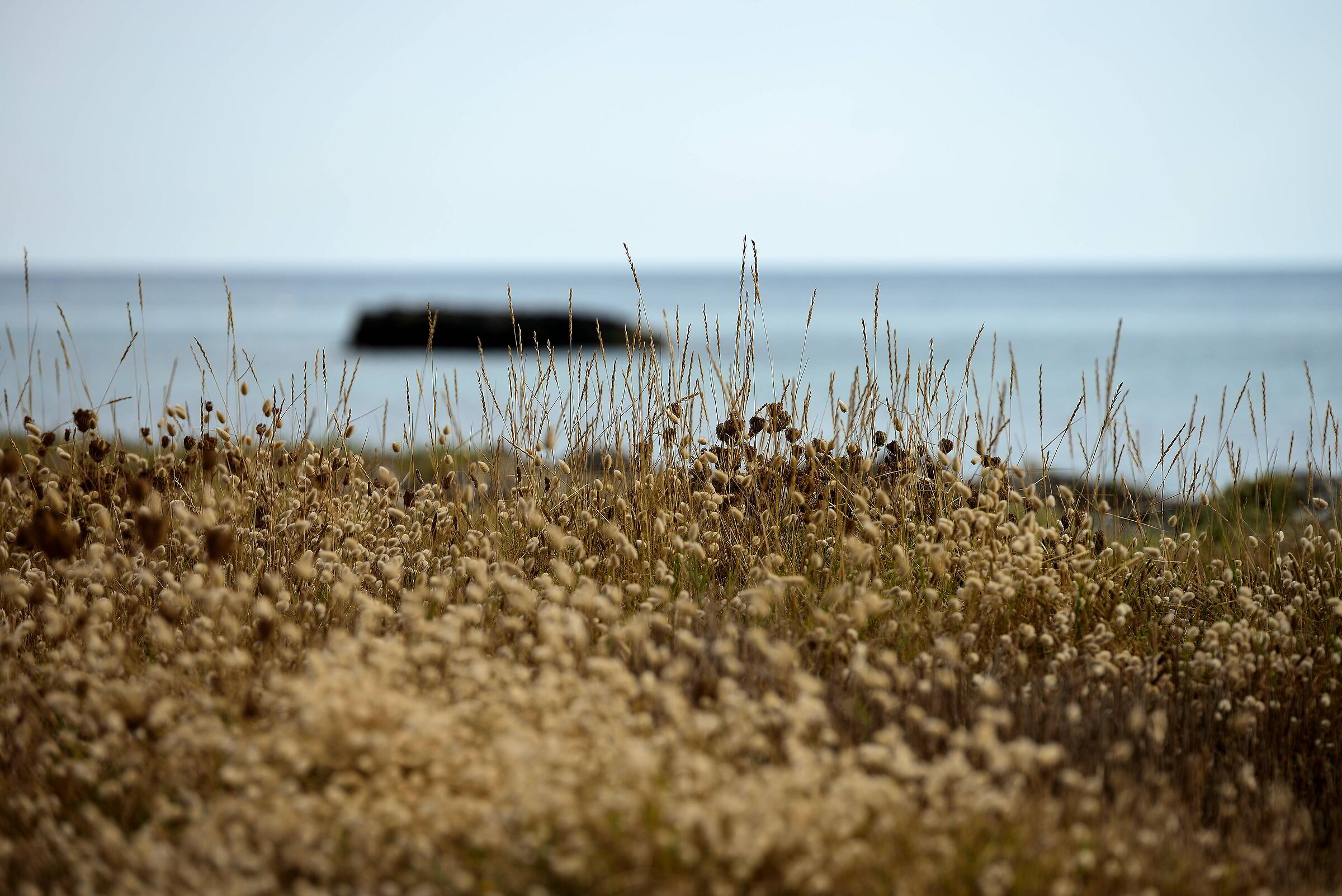 Torre Specchia Ruggeri