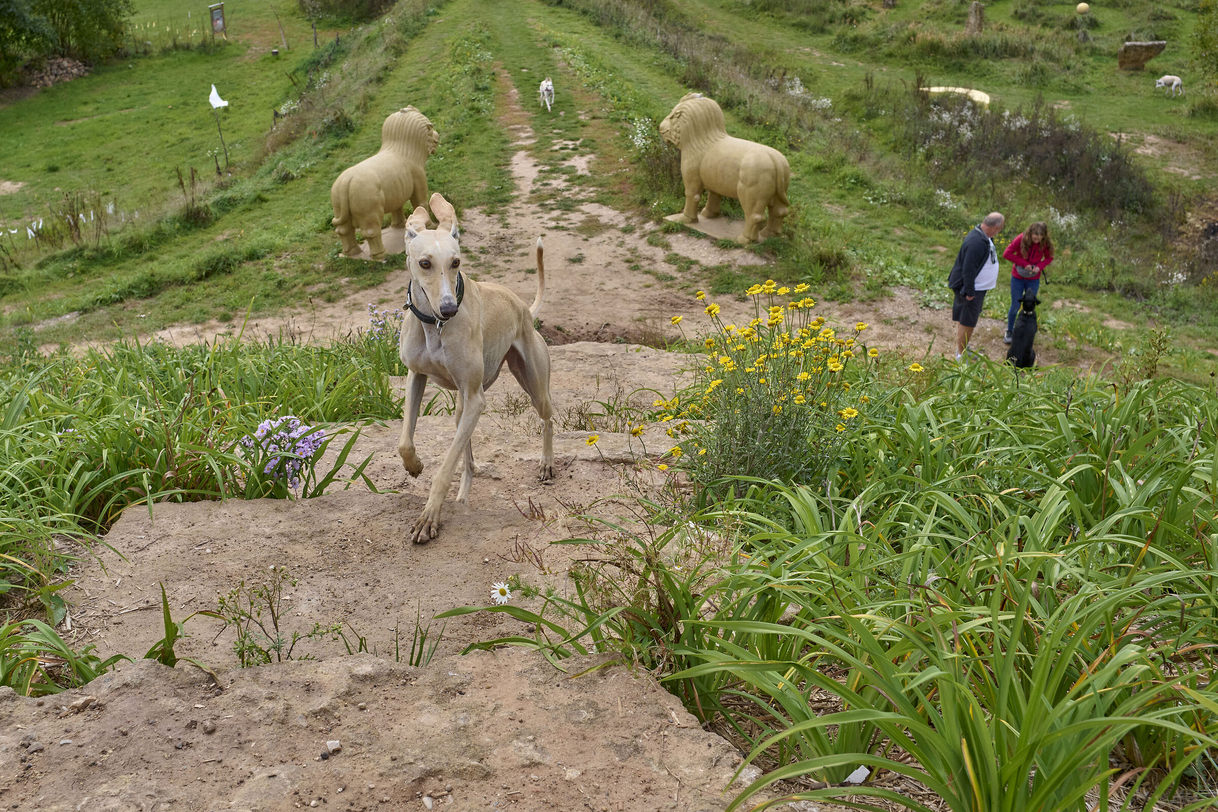 Dennenlohe Castle Park