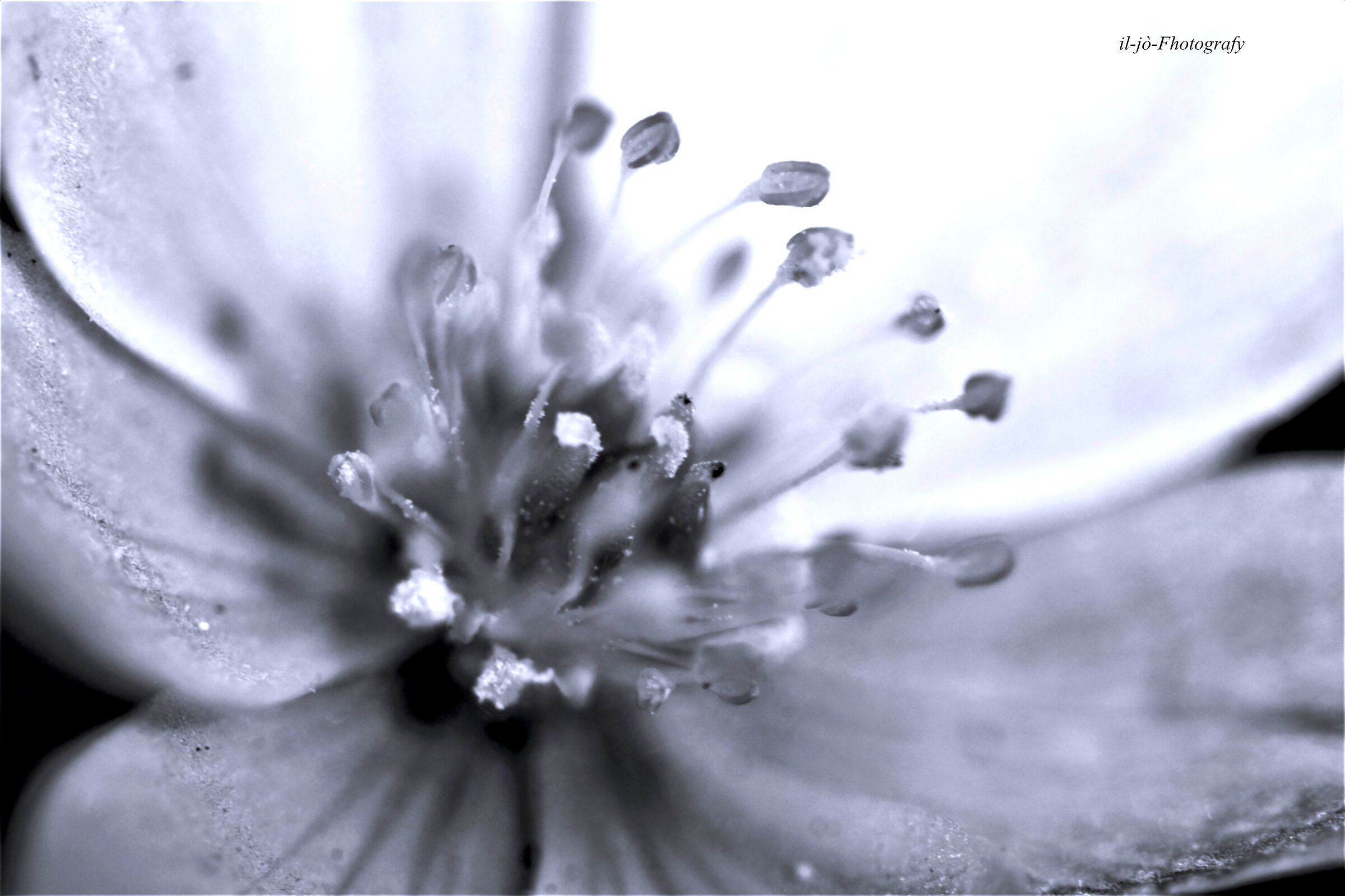 Untitled Photo