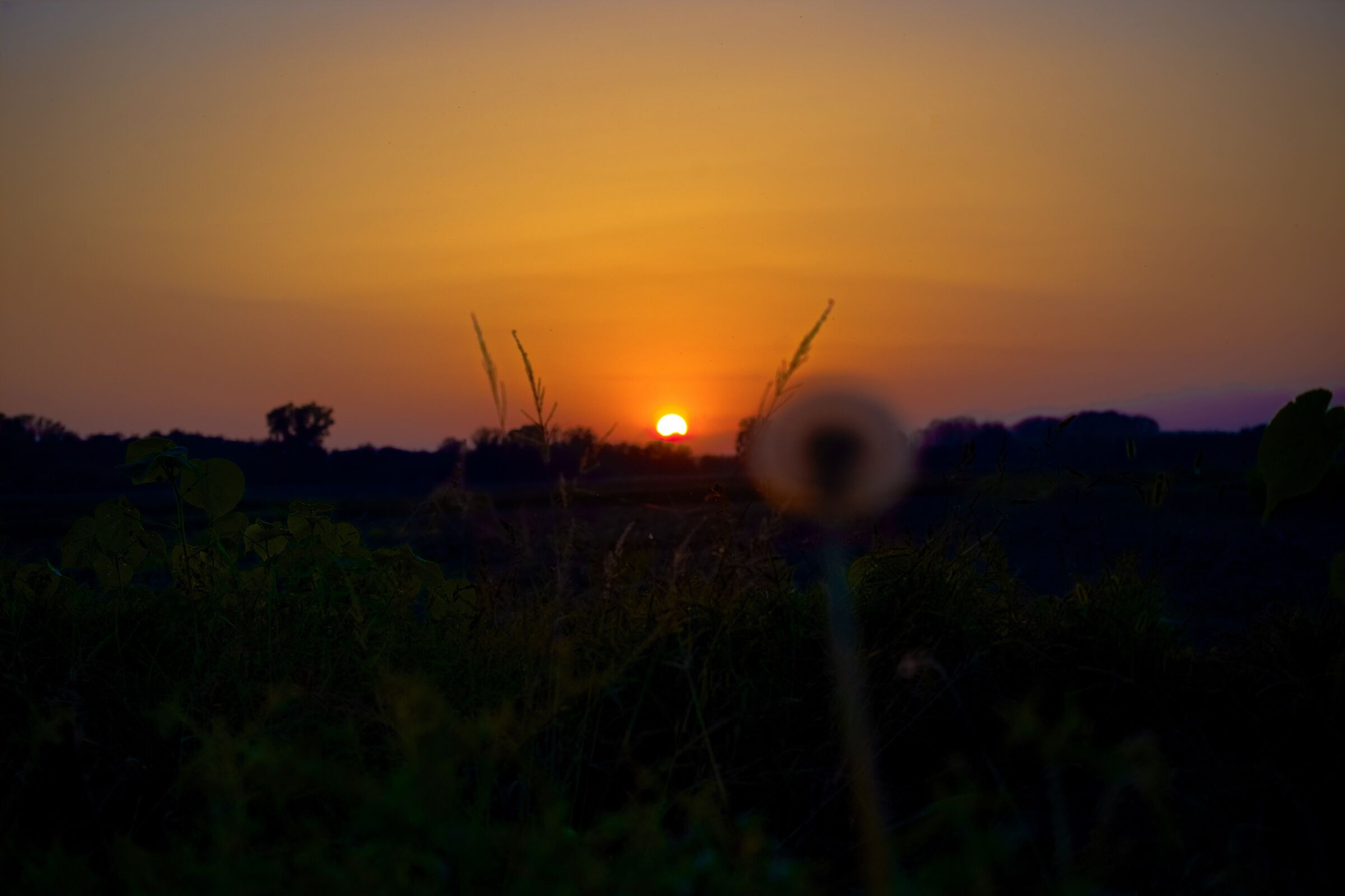 Le ultime luci ed ombre del giorno