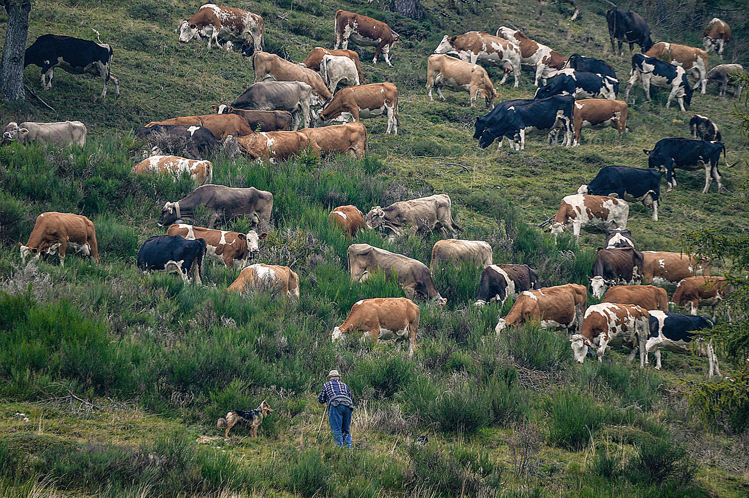 Segantini in val Biandino
