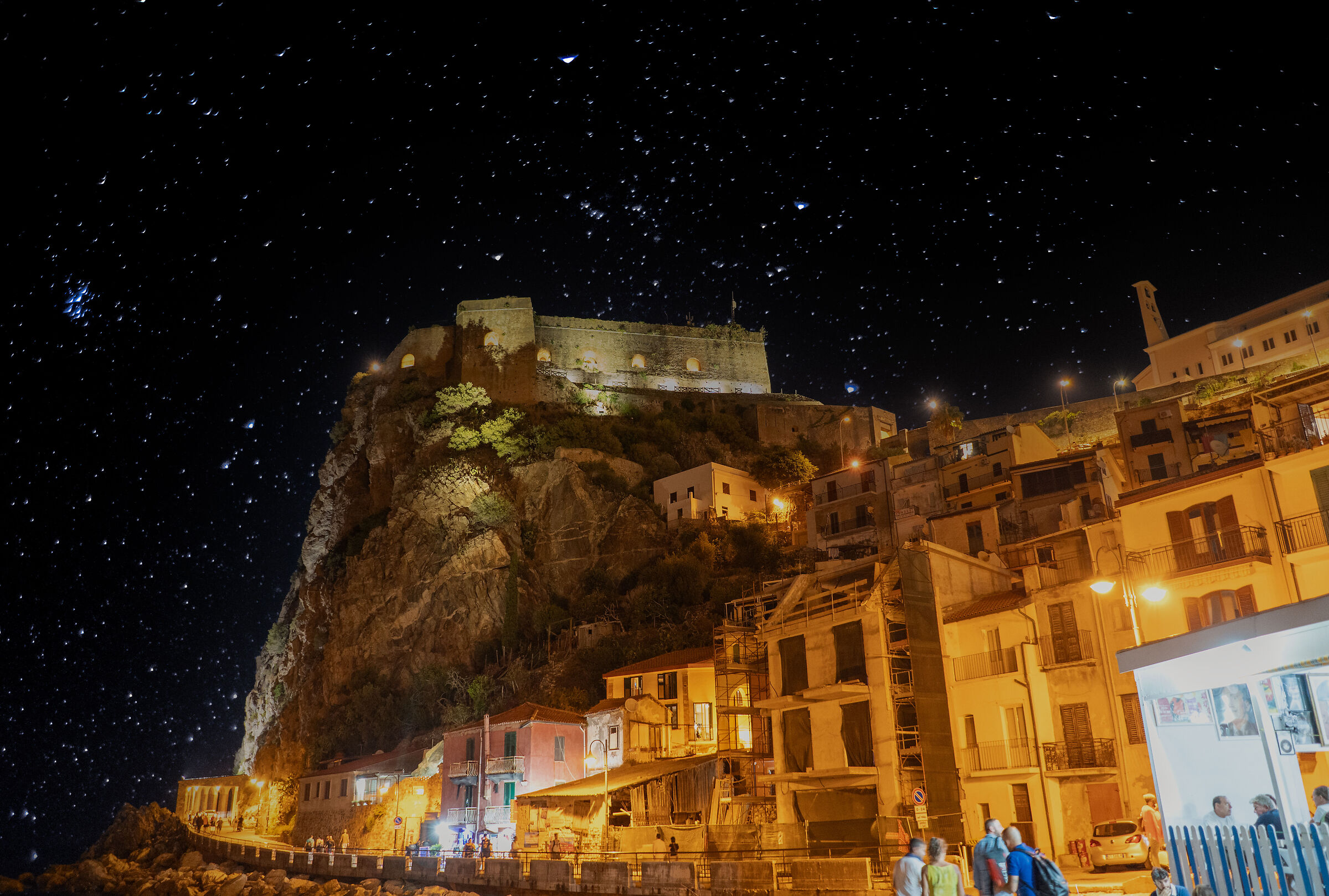 Scilla in the evening