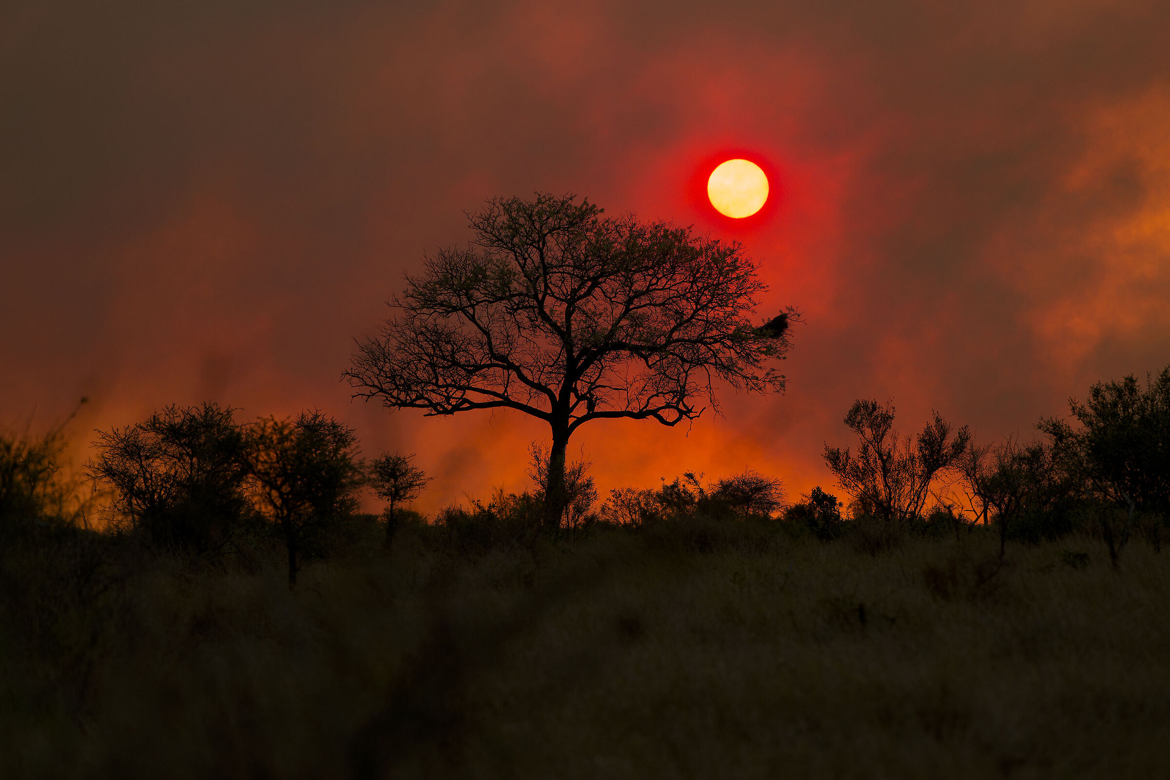 sunset africano