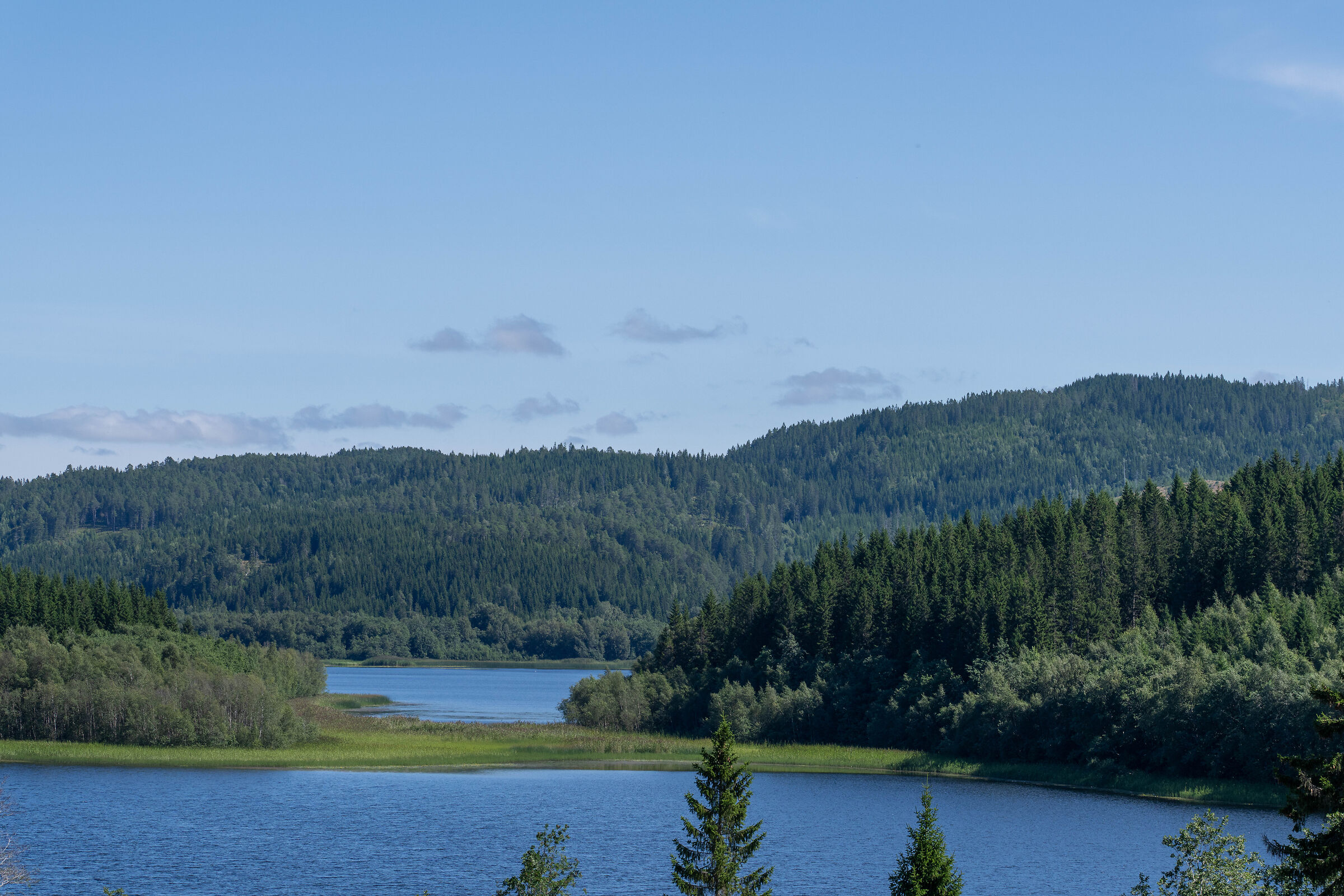 from Trondheim to Mo i Rana