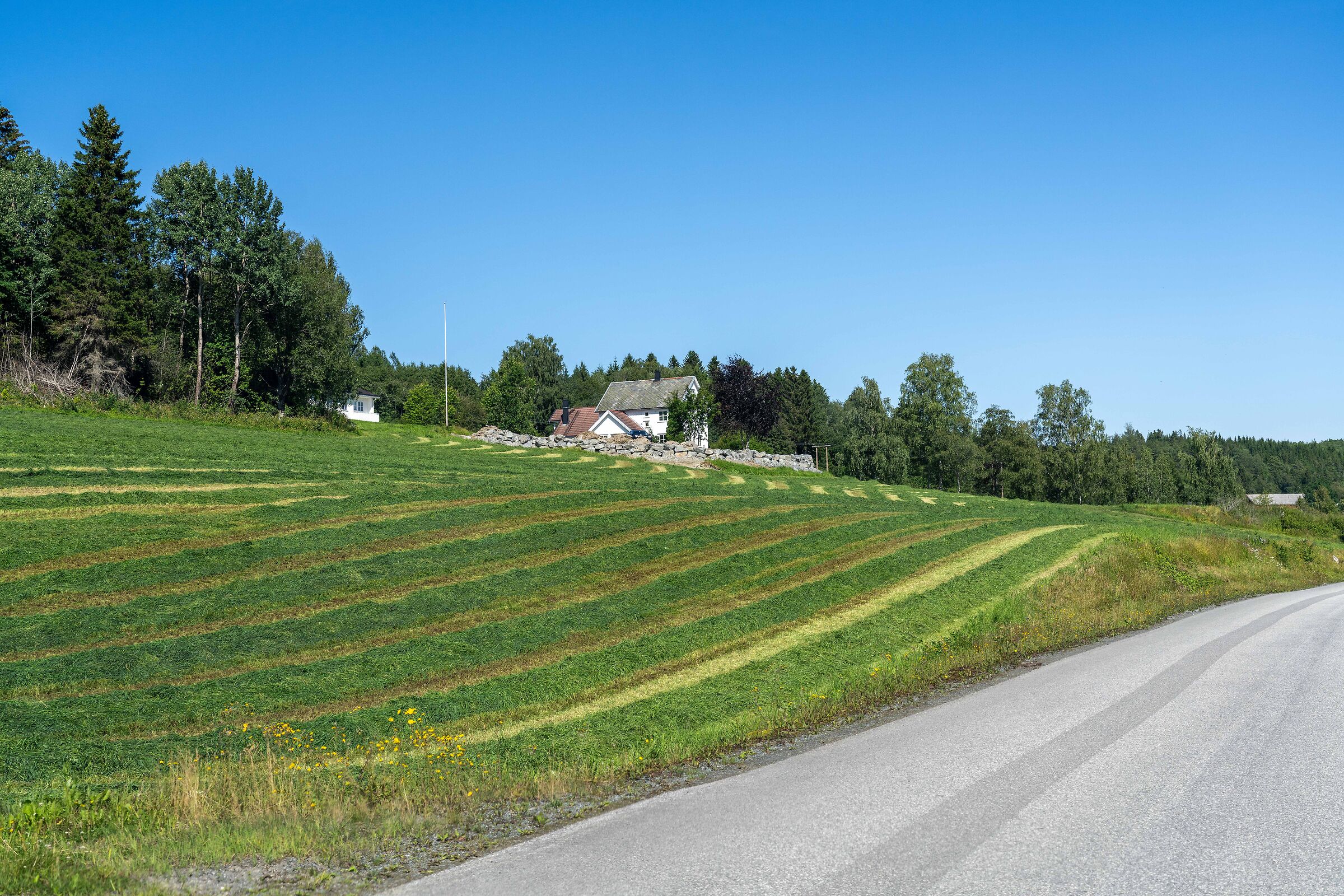 from Trondheim to Mo i Rana