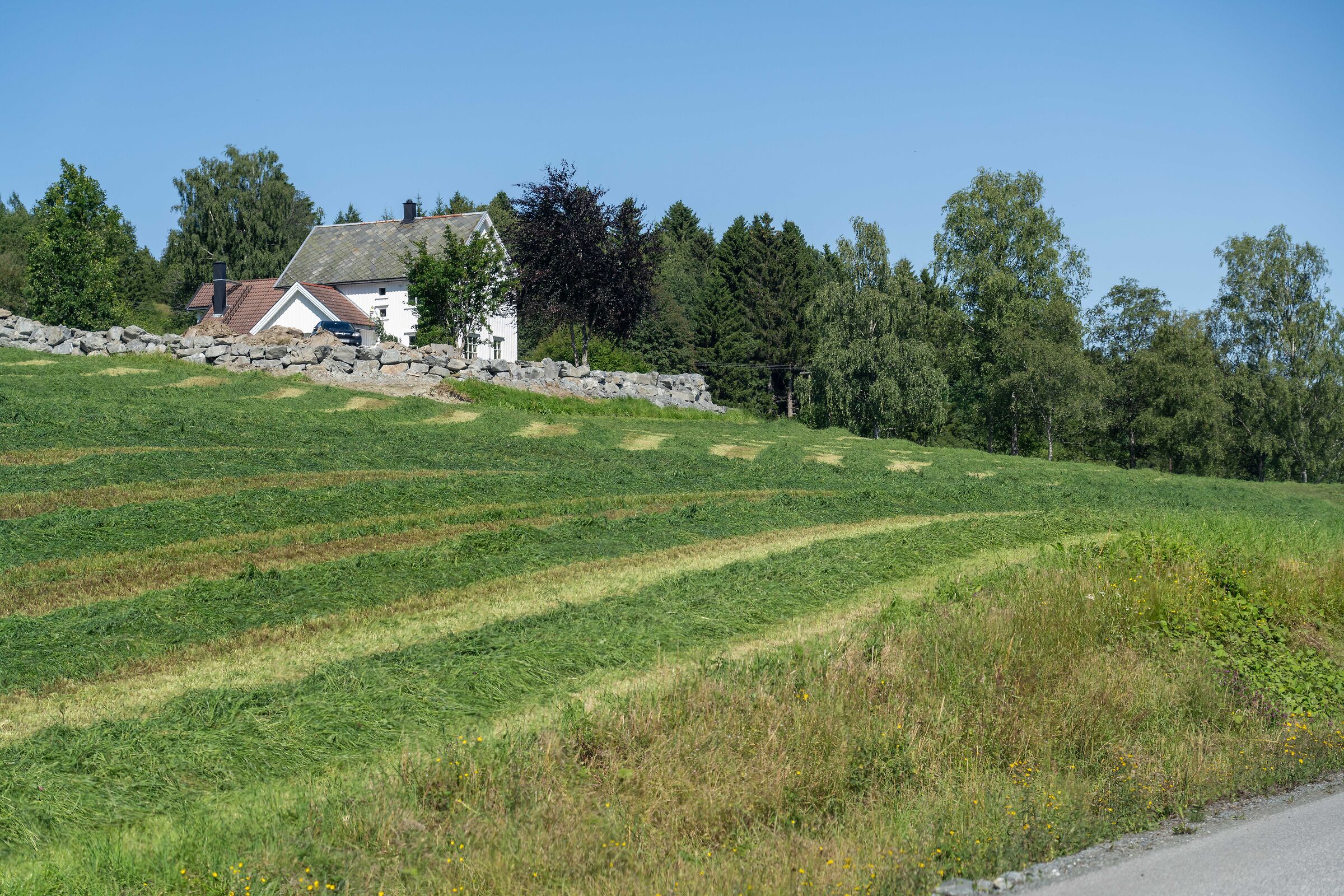 from Trondheim to Mo i Rana