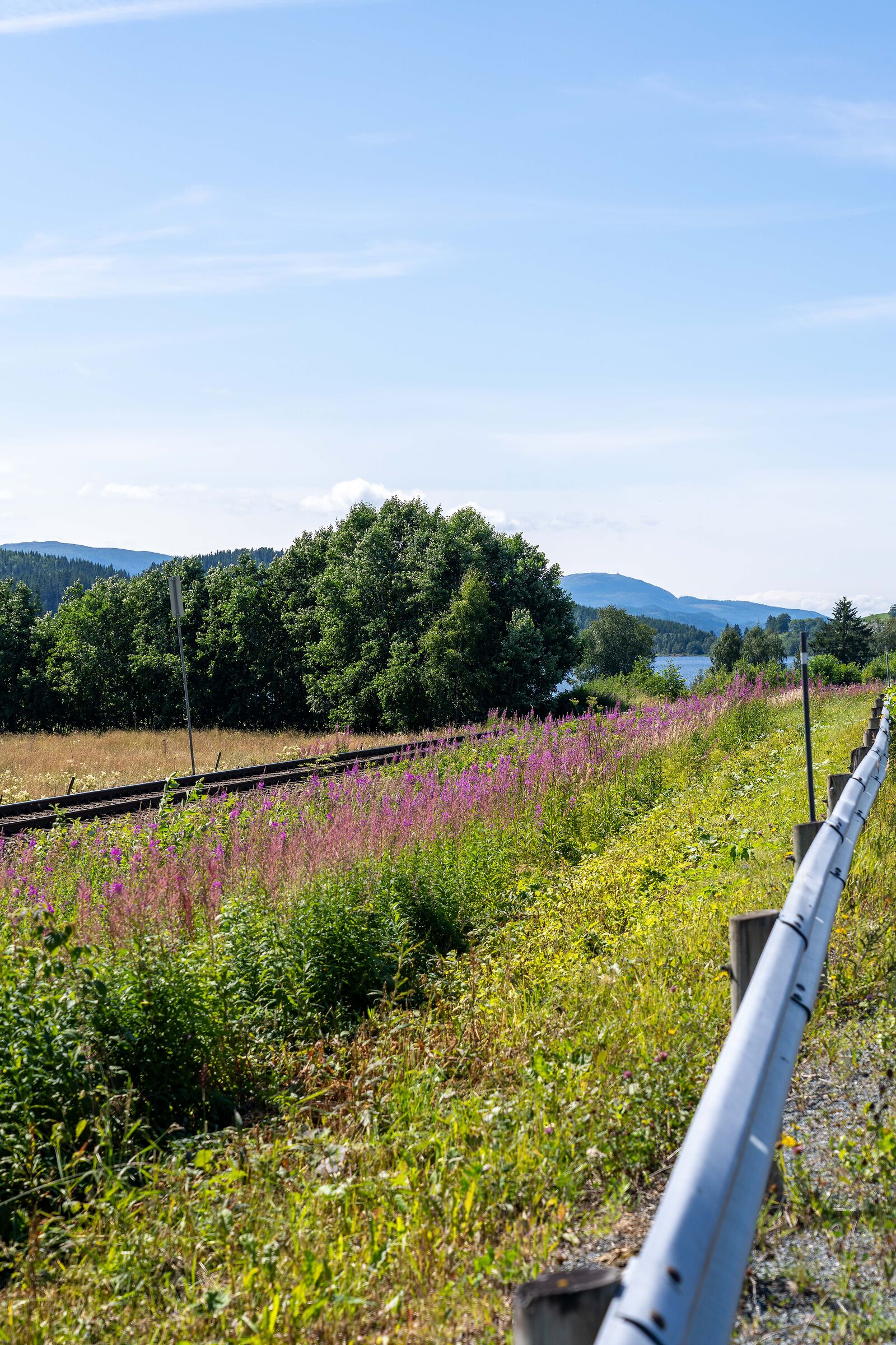 from Trondheim to Mo i Rana