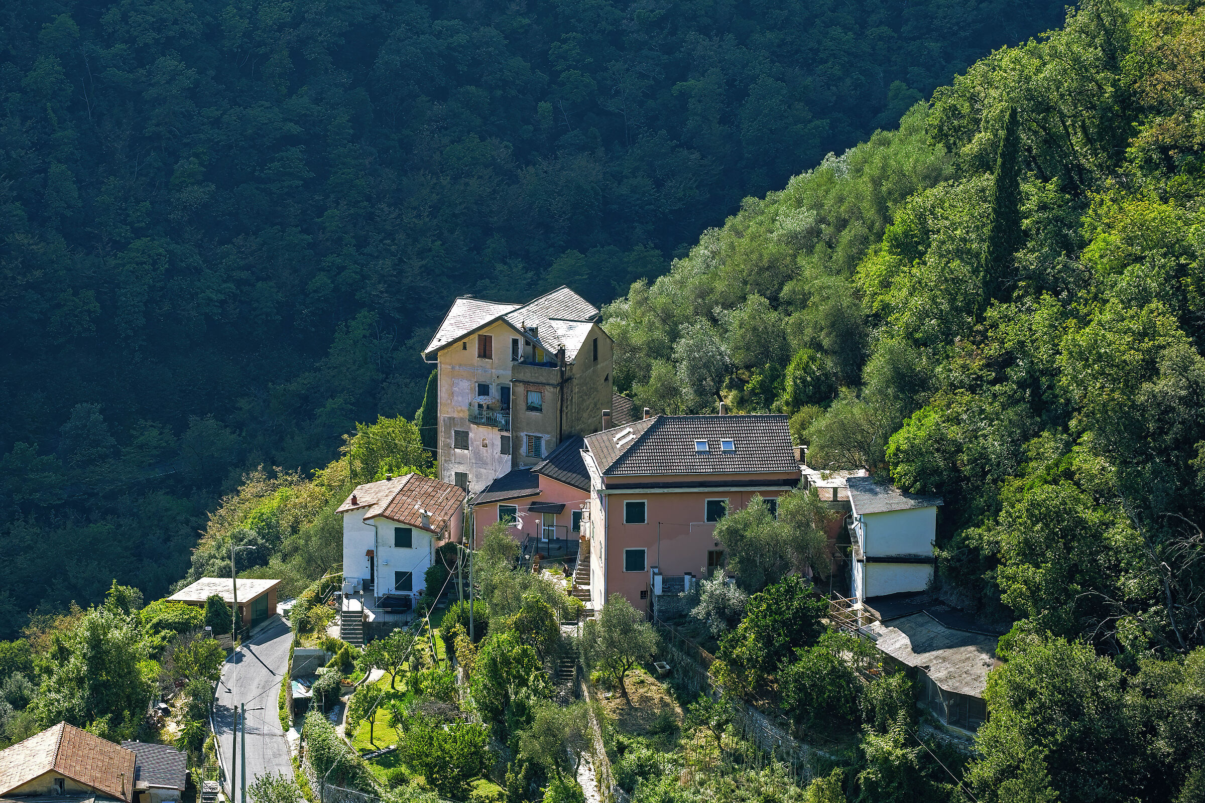 Vieni c'è una casa nel bosco