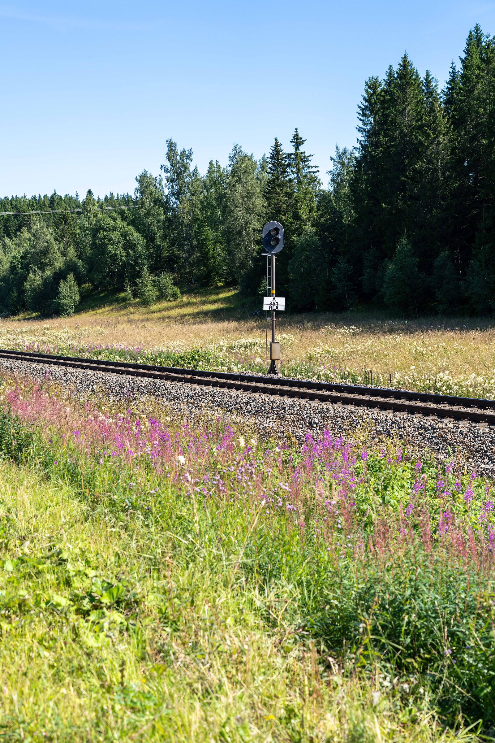 from Trondheim to Mo i Rana