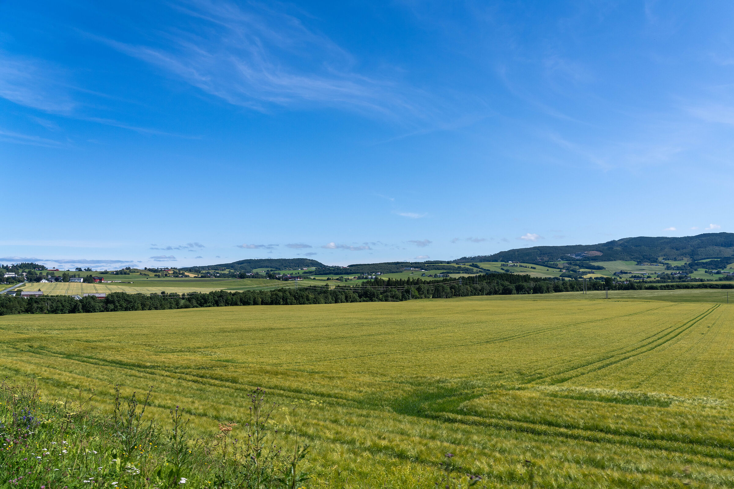 from Trondheim to Mo i Rana