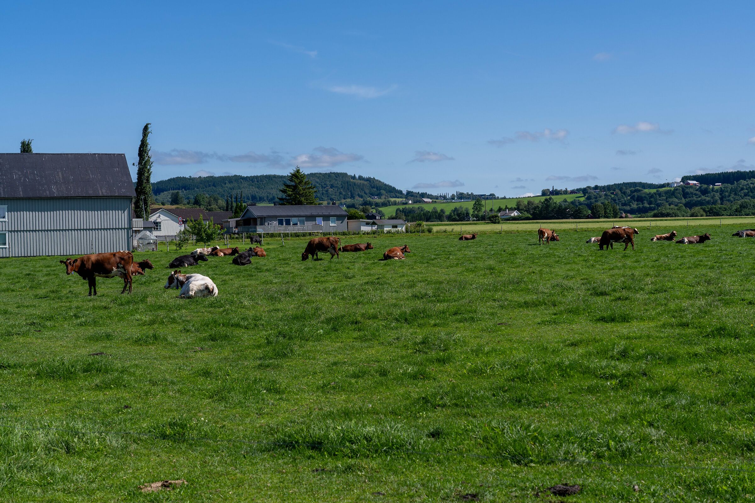 from Trondheim to Mo i Rana