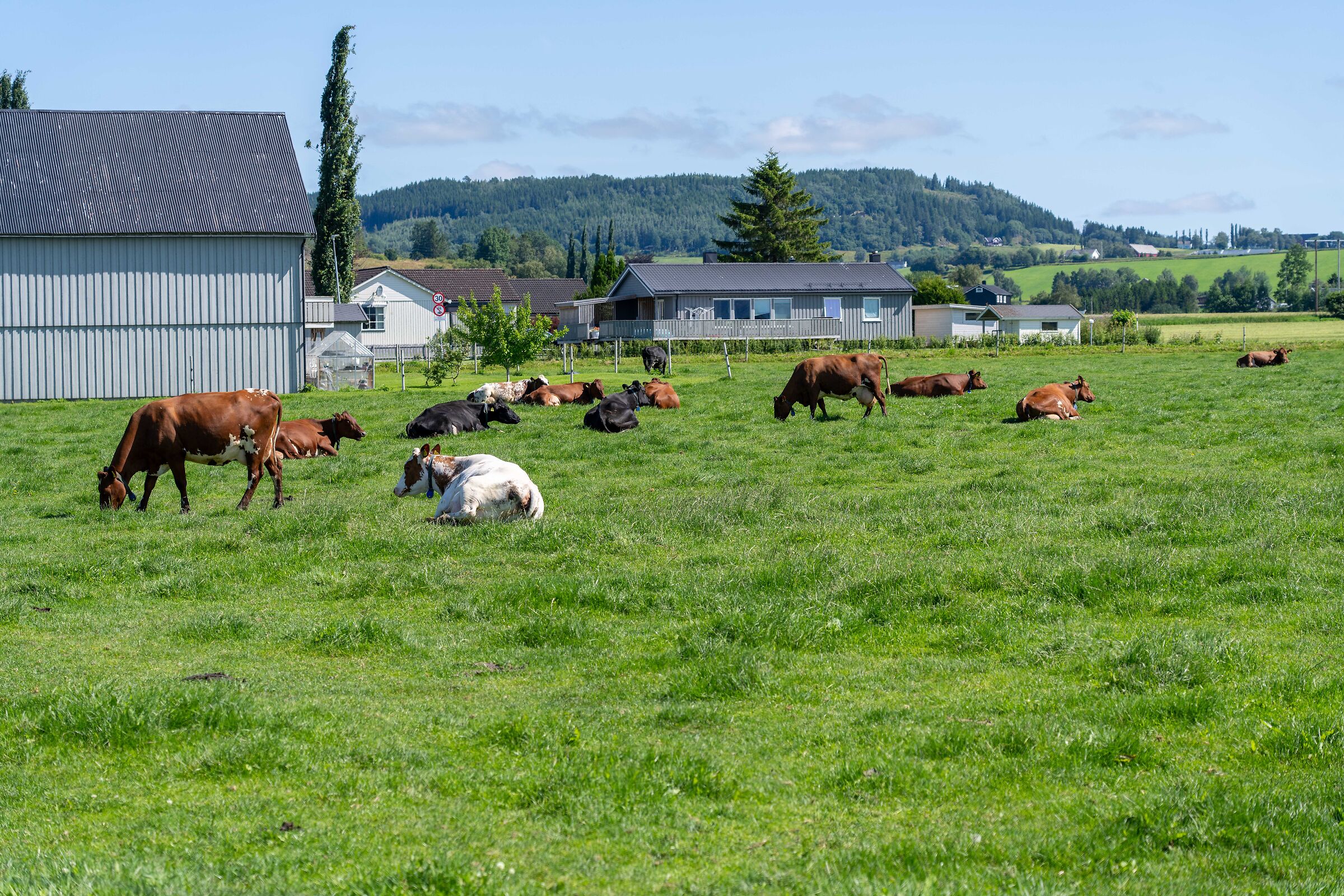 from Trondheim to Mo i Rana