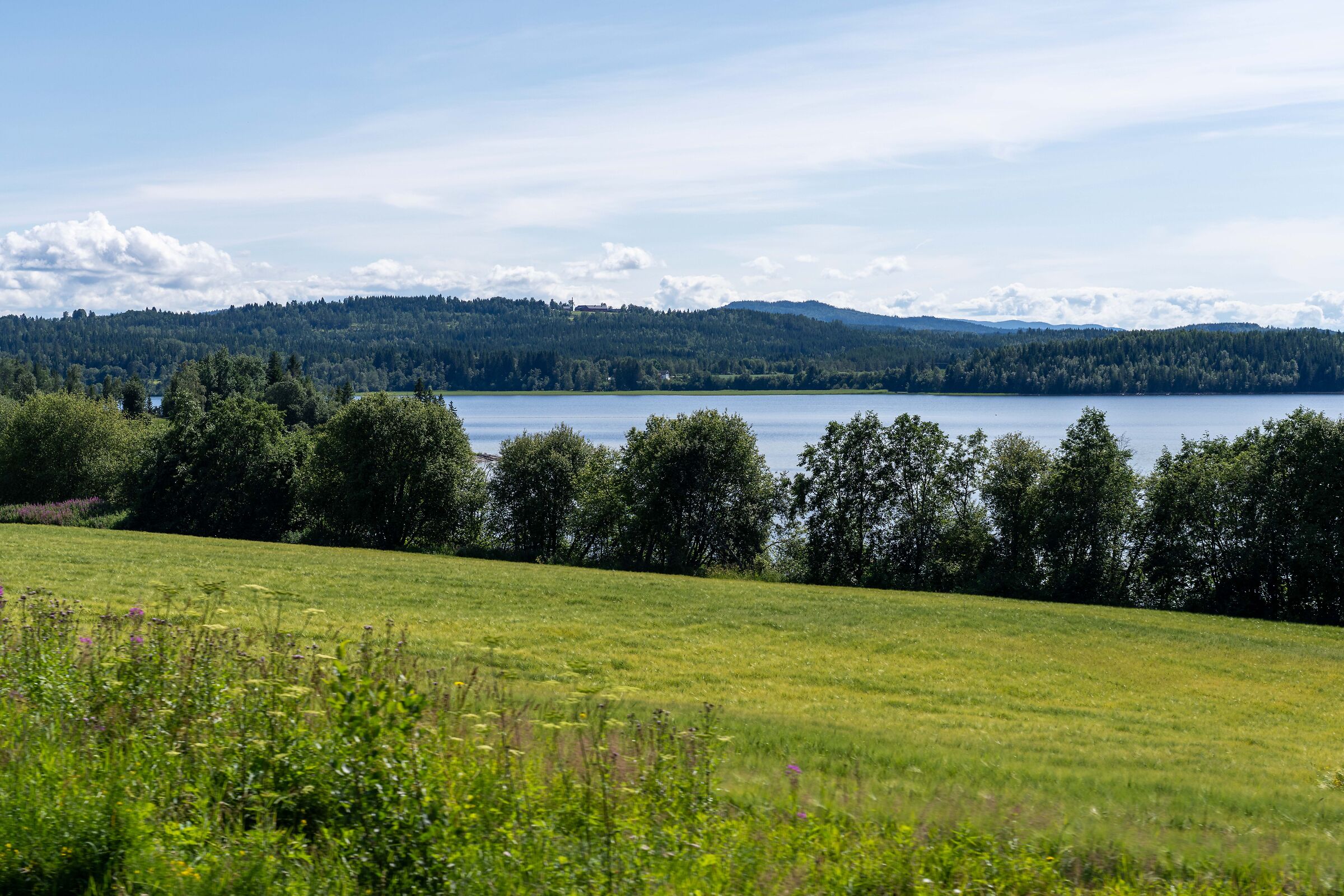 from Trondheim to Mo i Rana