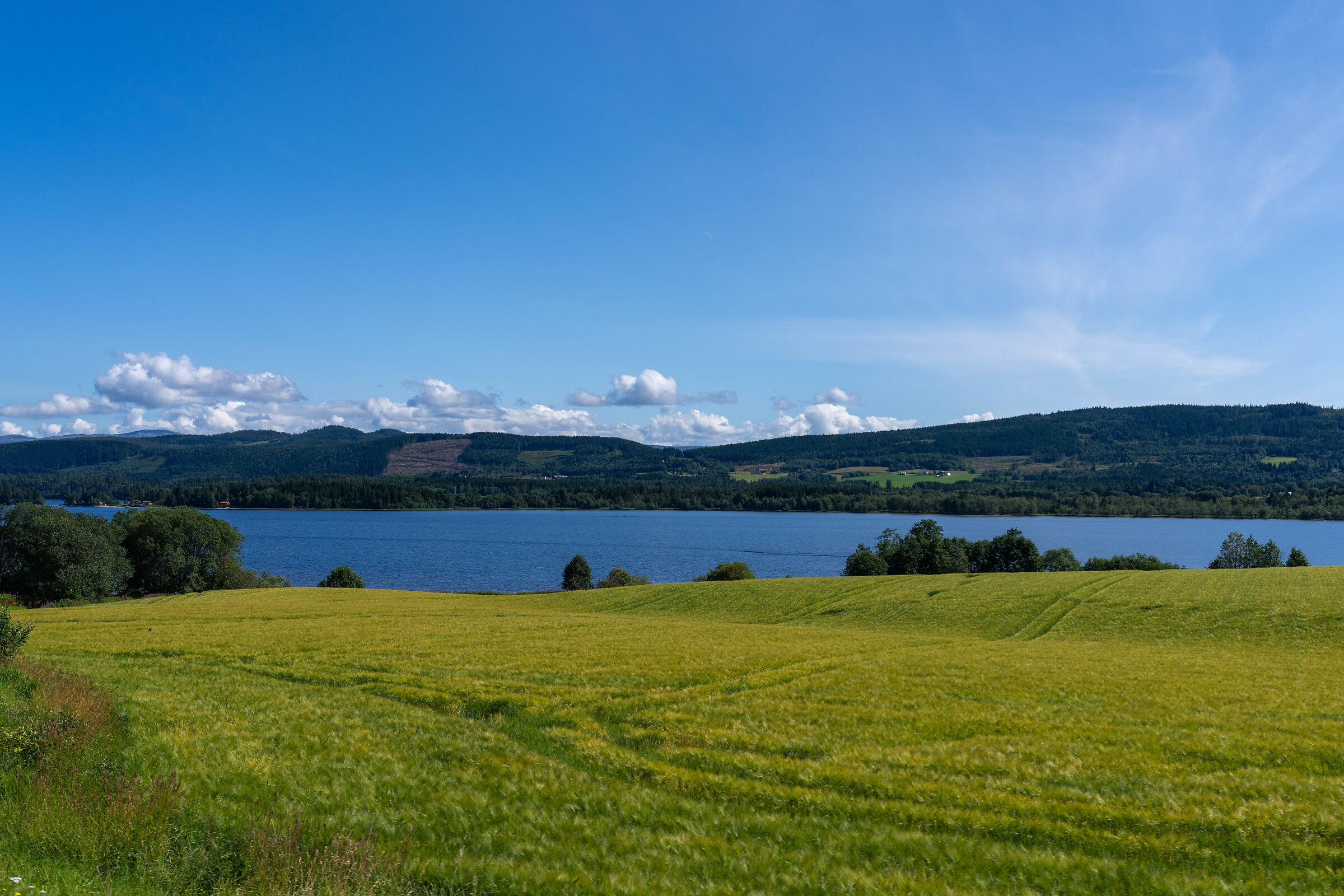 from Trondheim to Mo i Rana