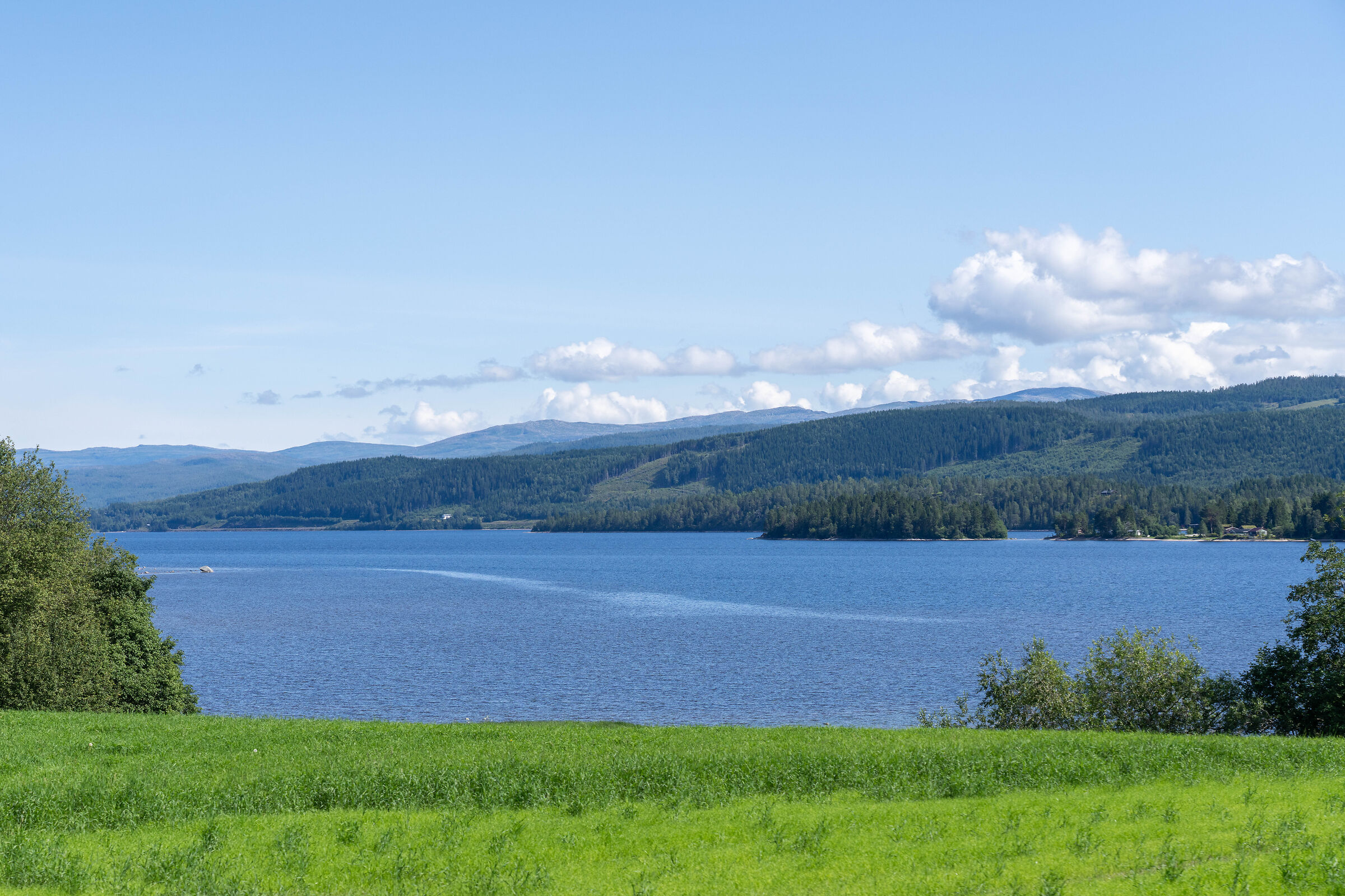 from Trondheim to Mo i Rana