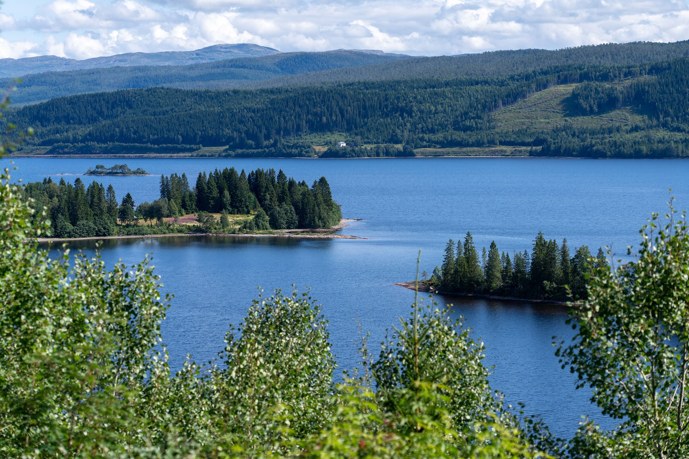 from Trondheim to Mo i Rana