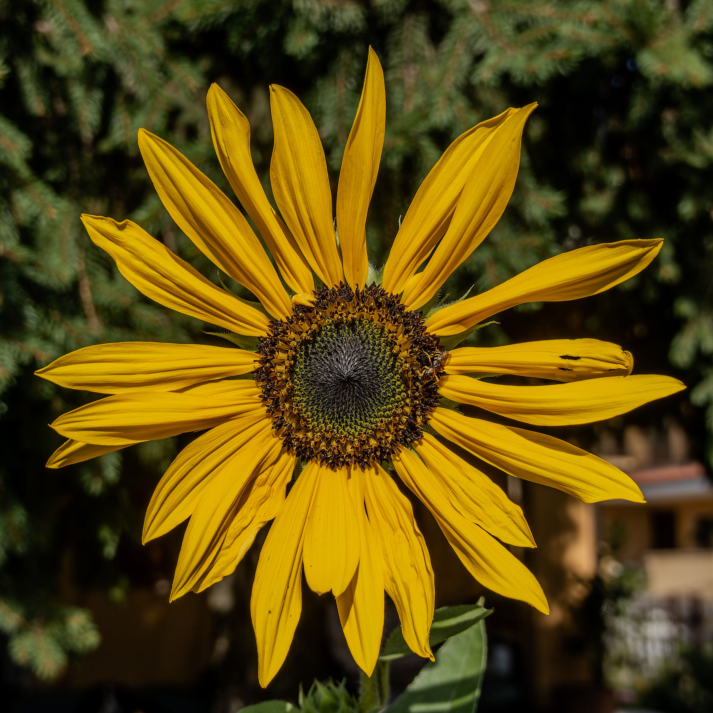 Untitled Photo