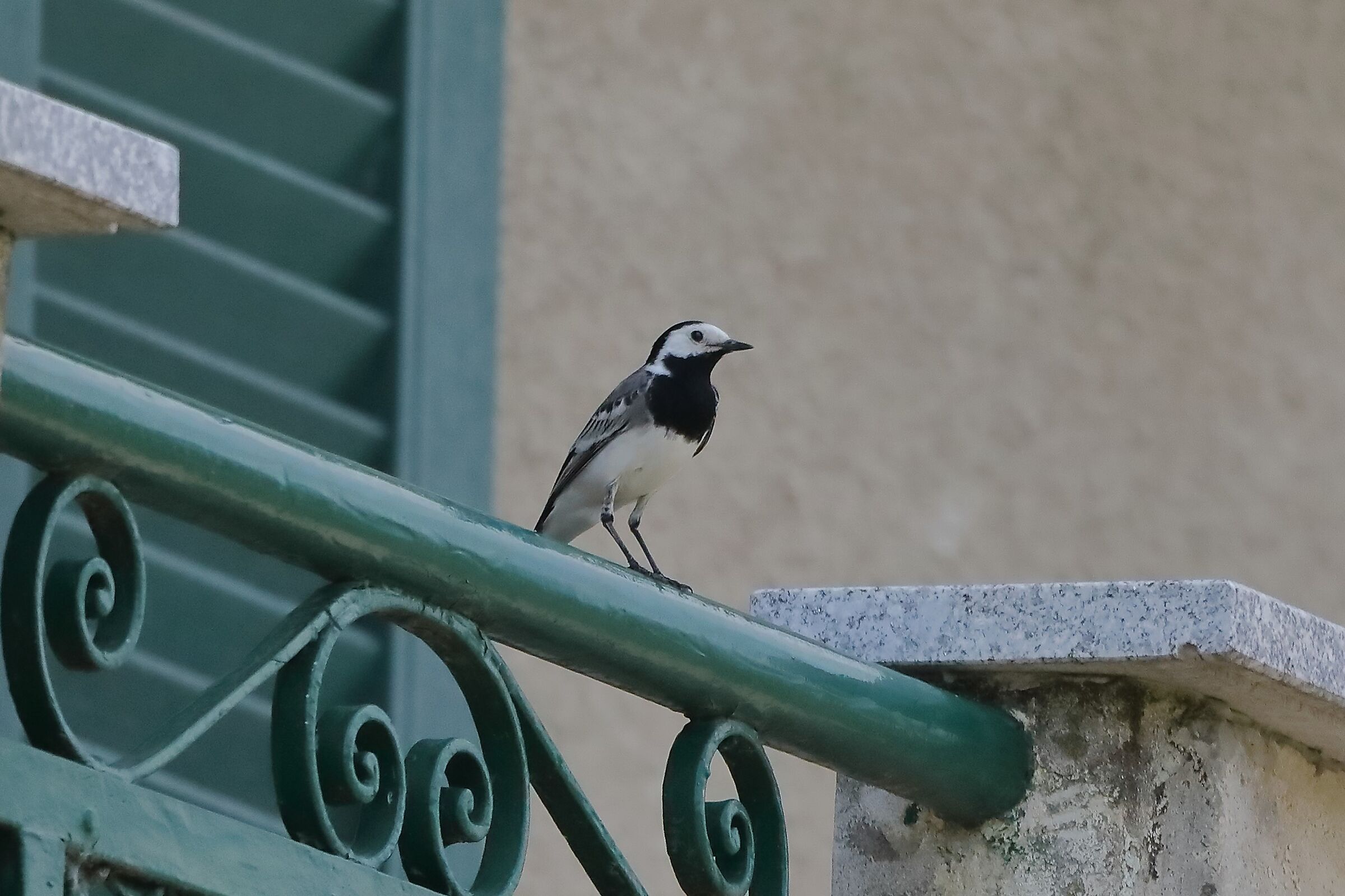 Ballerina 23-05-2023