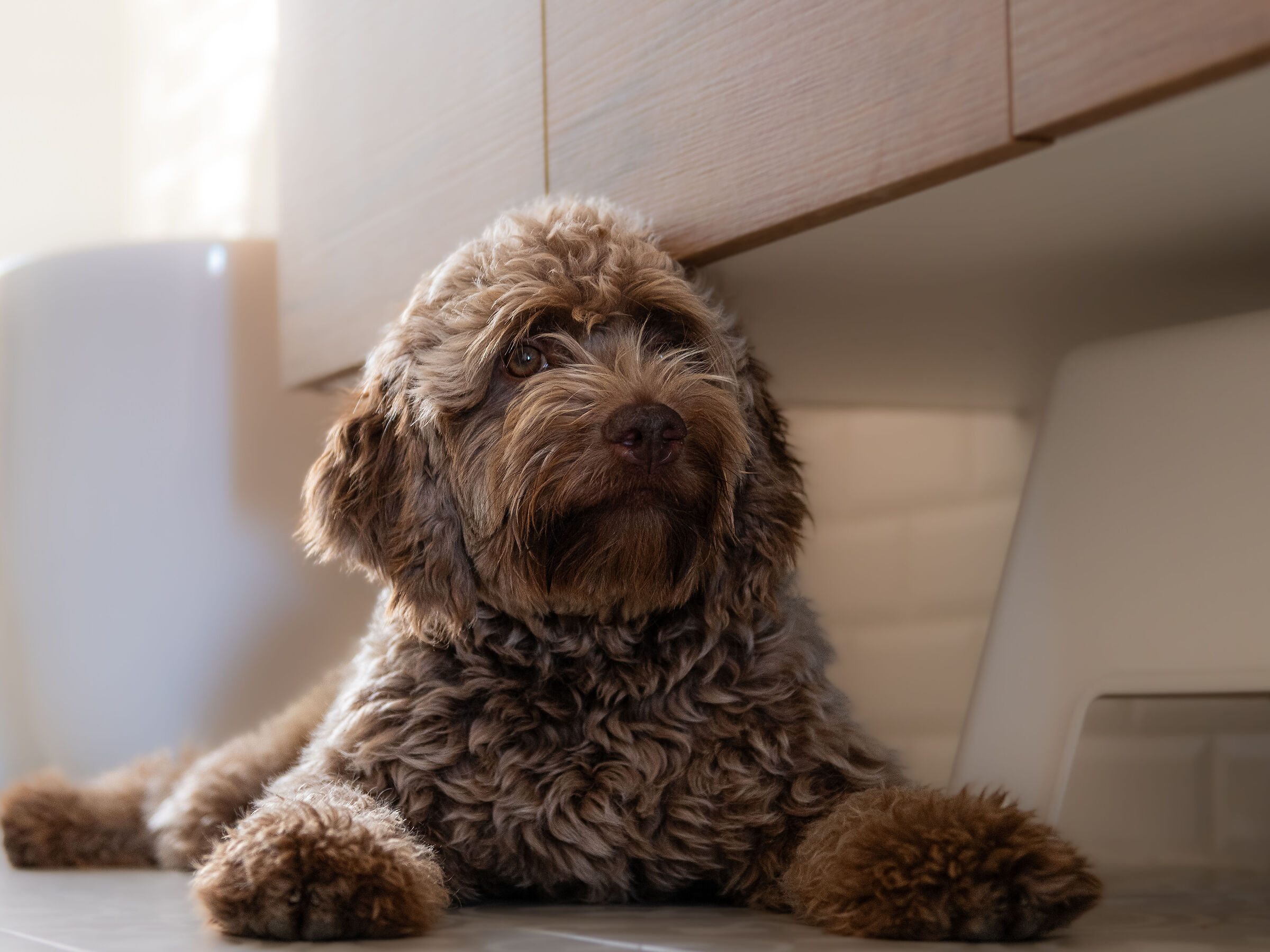 Lela la regina di casa