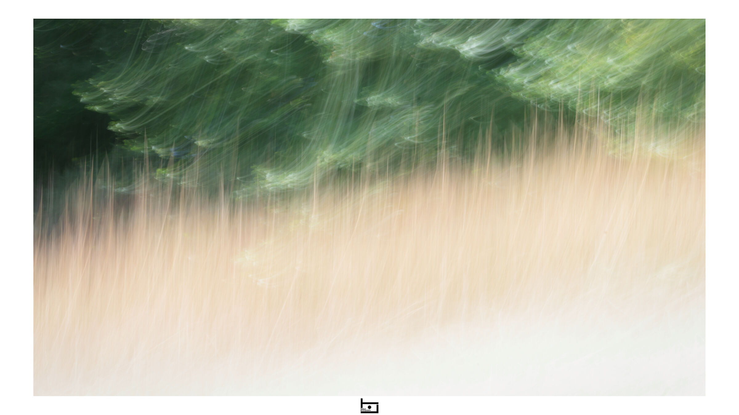 Summer's almost gone