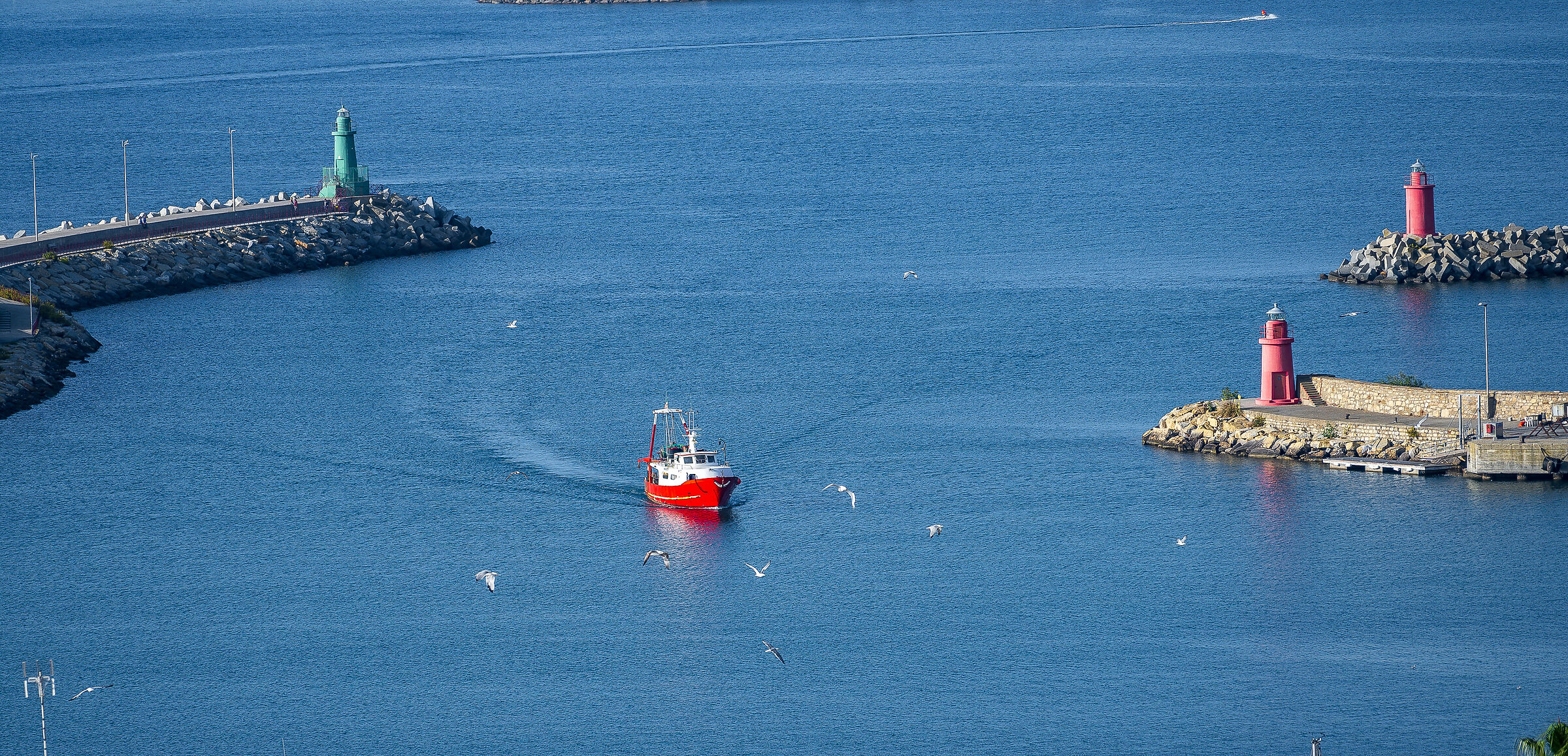 Fishing boat with seagulls
