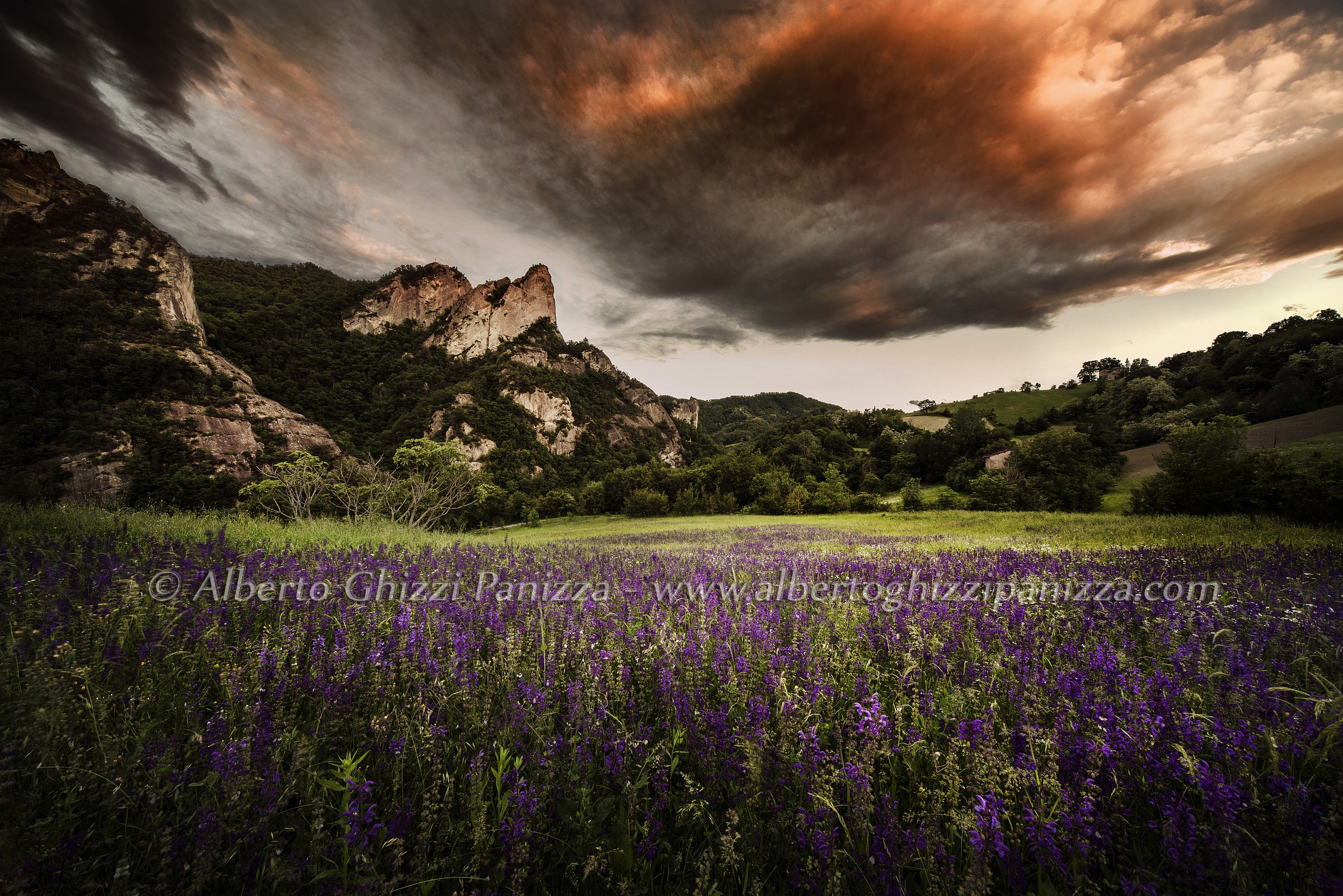 Fioritura ai Sassi di Roccamalatina